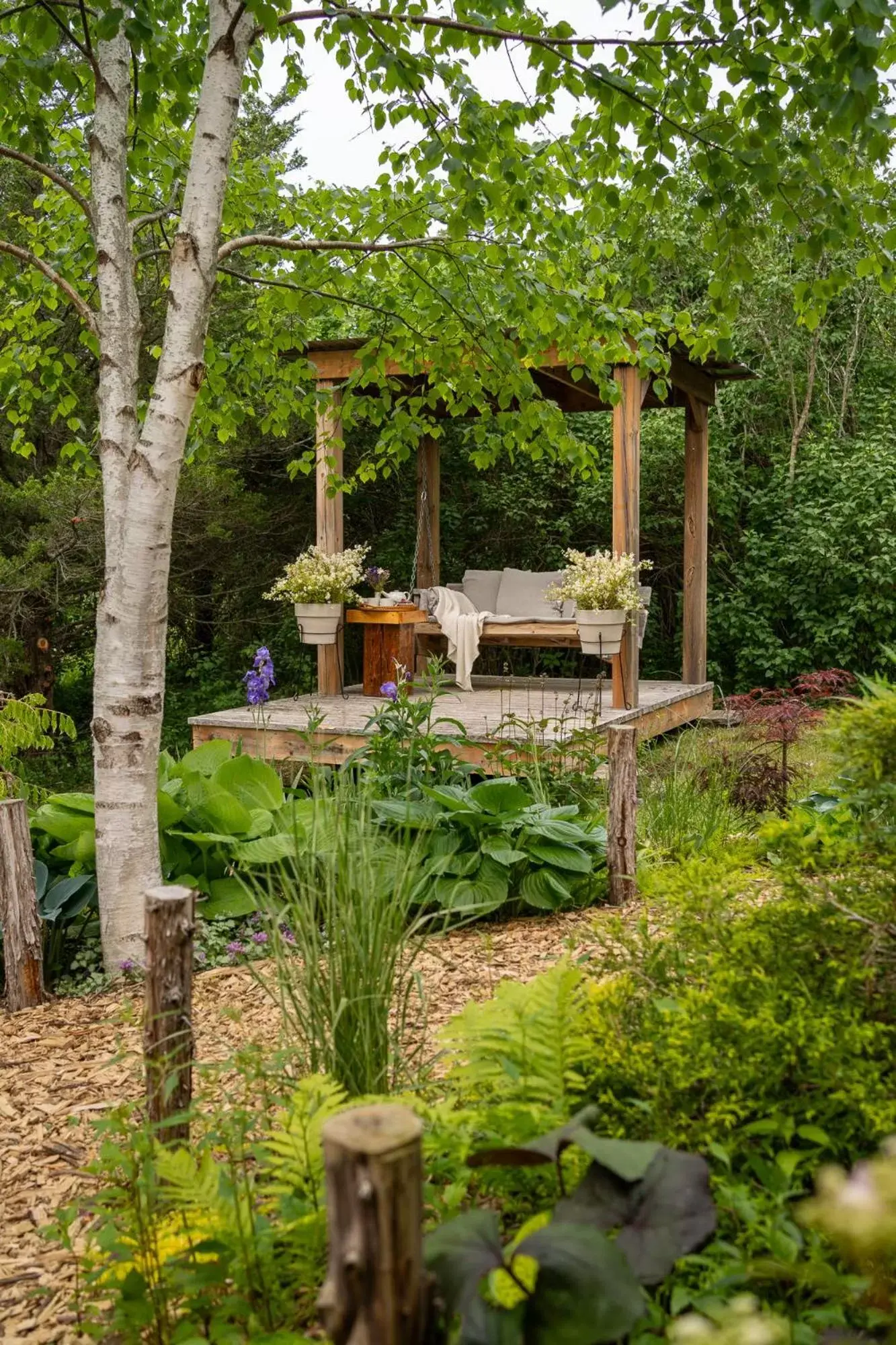 Garden in Owl's Nest Suites