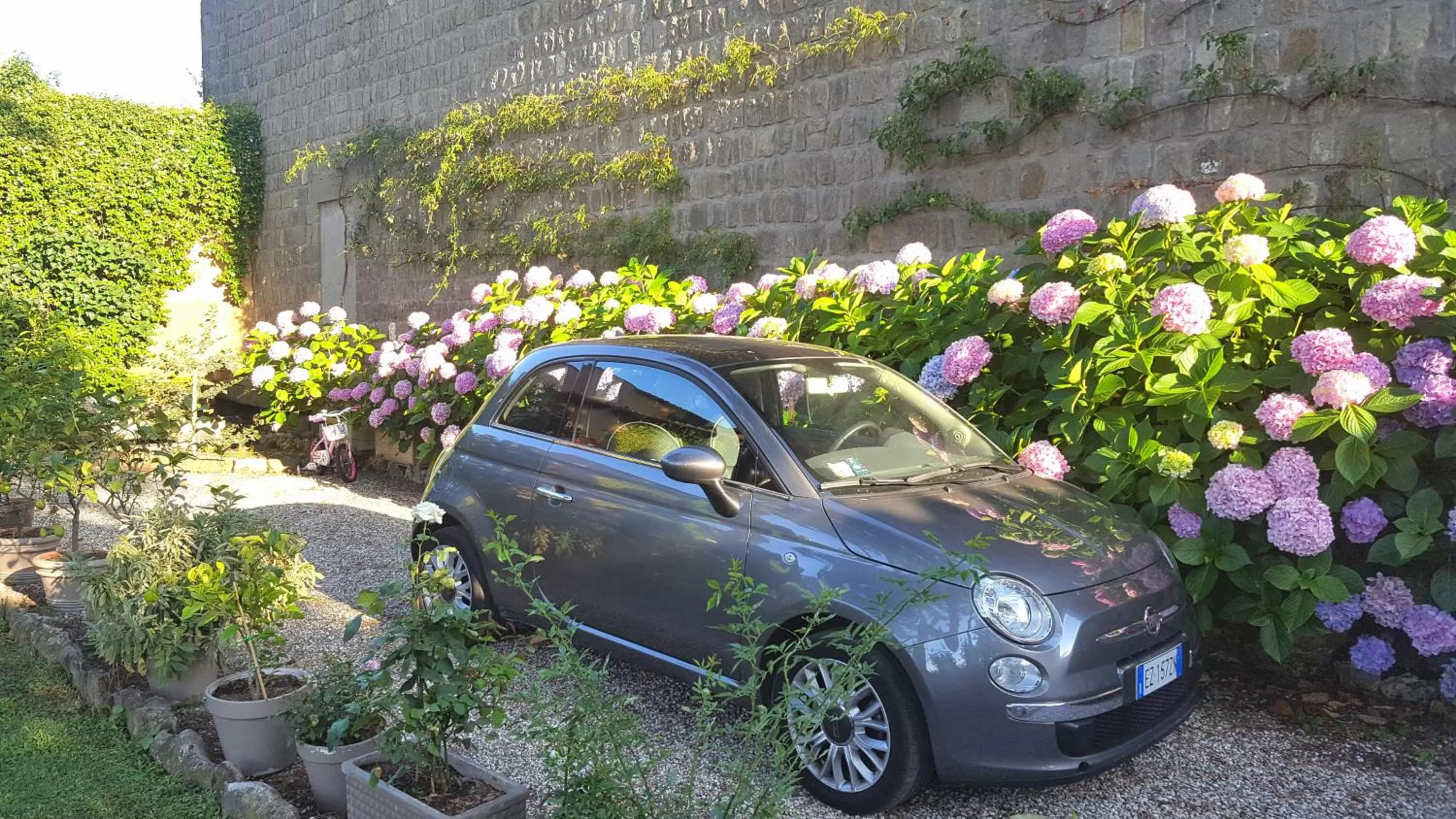 Garden in B&B A Piazza del Gesù