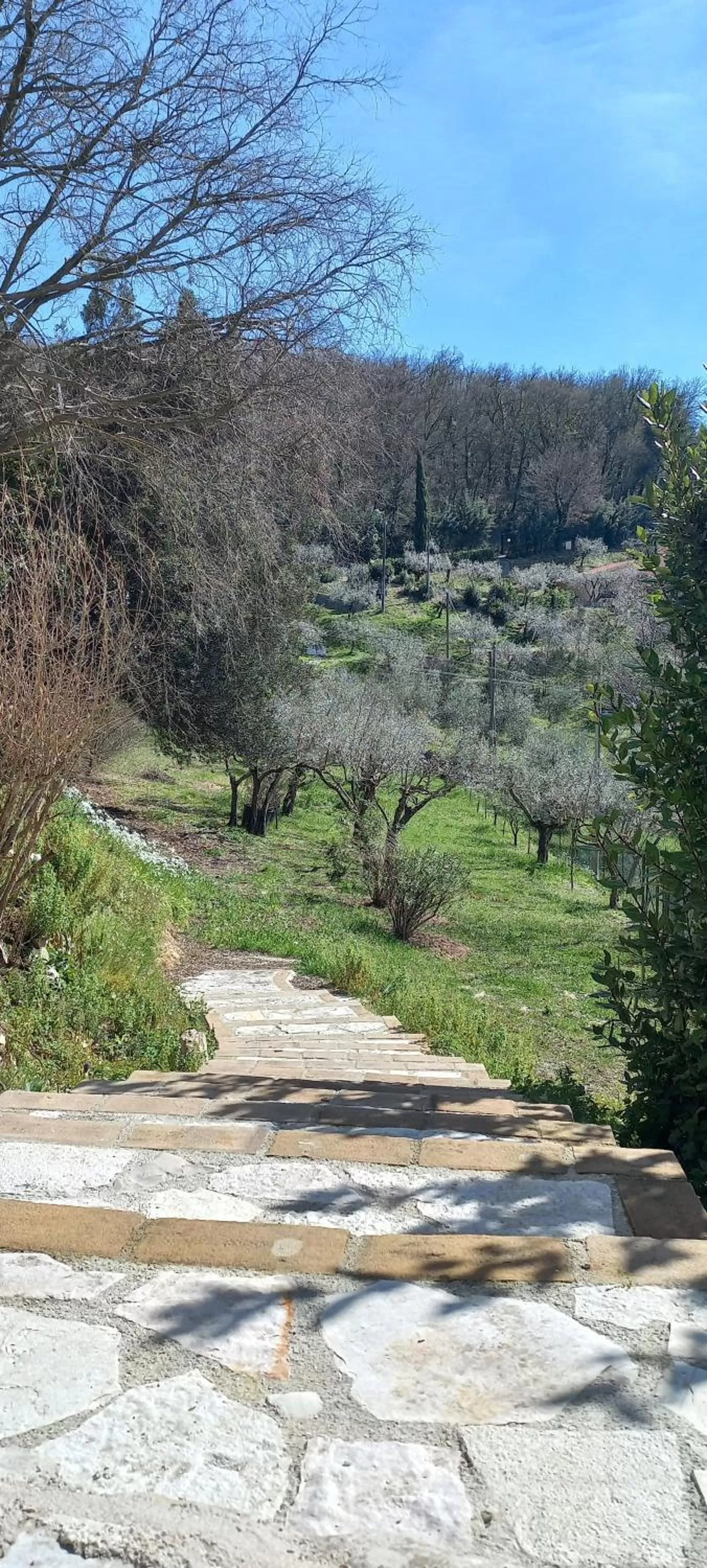 Domus Antiqua Bed & Breakfast