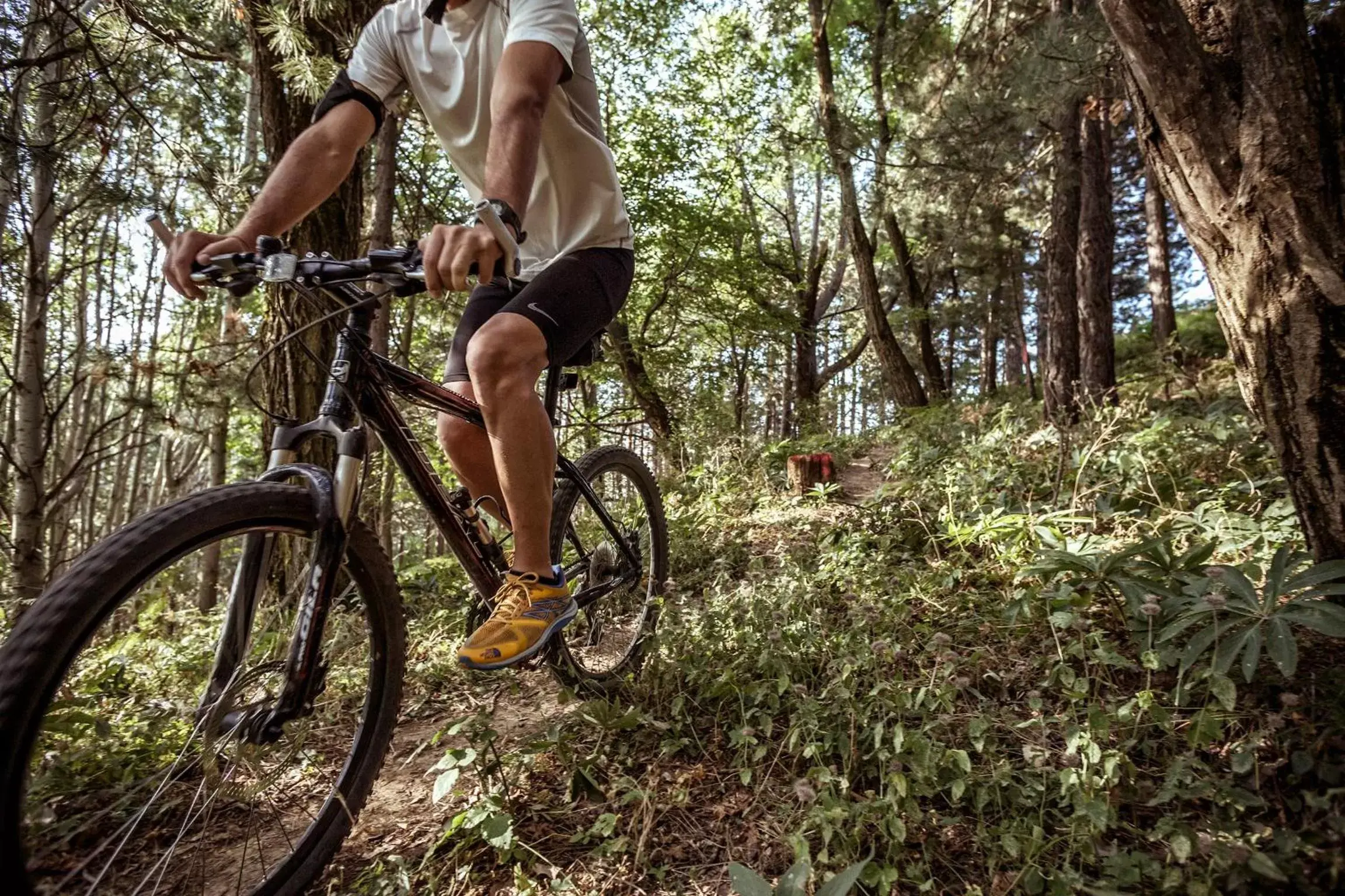 Activities, Biking in Grand Forest Metsovo - Small Luxury Hotels of the World