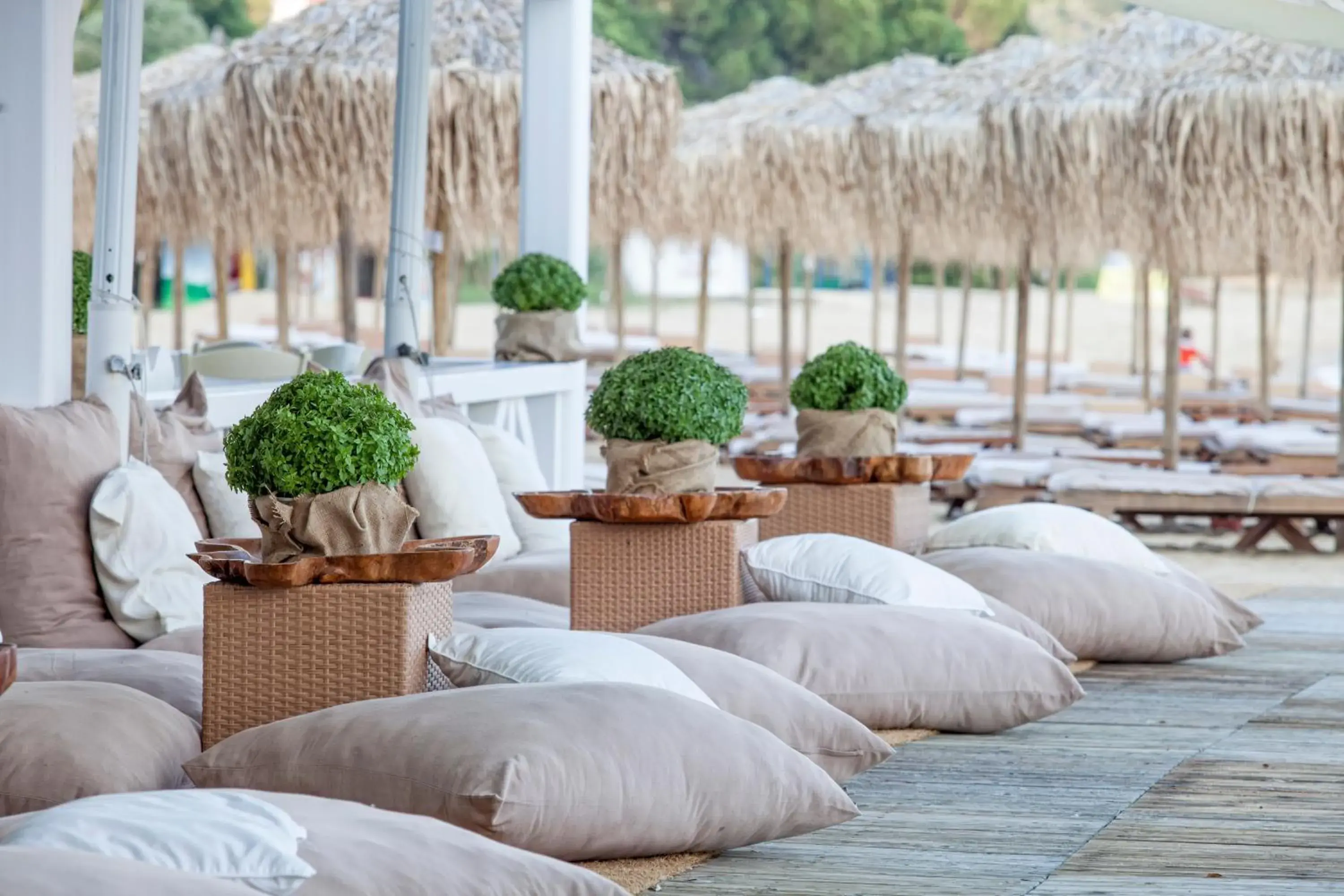 Balcony/Terrace in Skiathos Princess