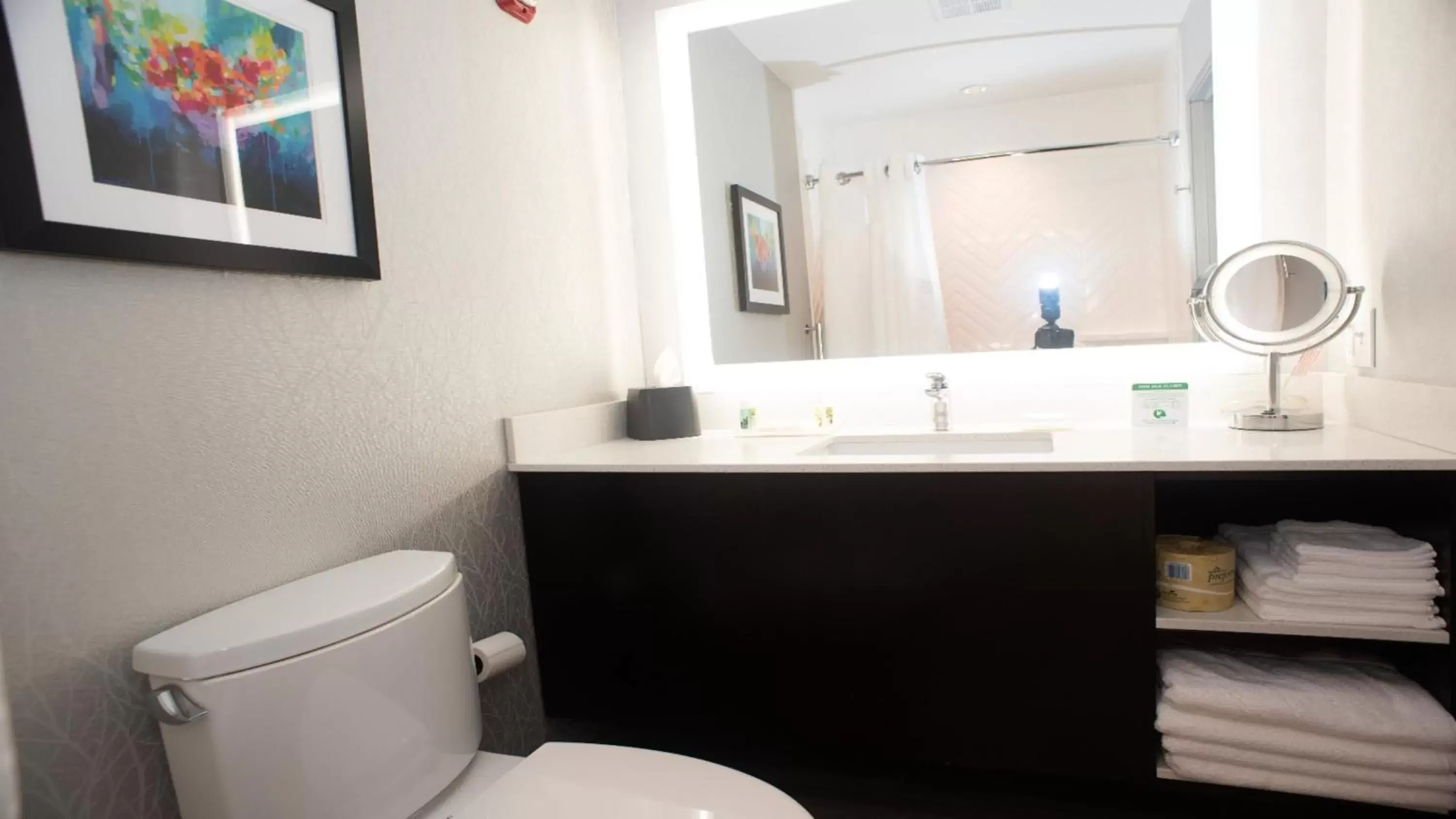 Bathroom in Holiday Inn Hotel & Suites - Joliet Southwest, an IHG Hotel