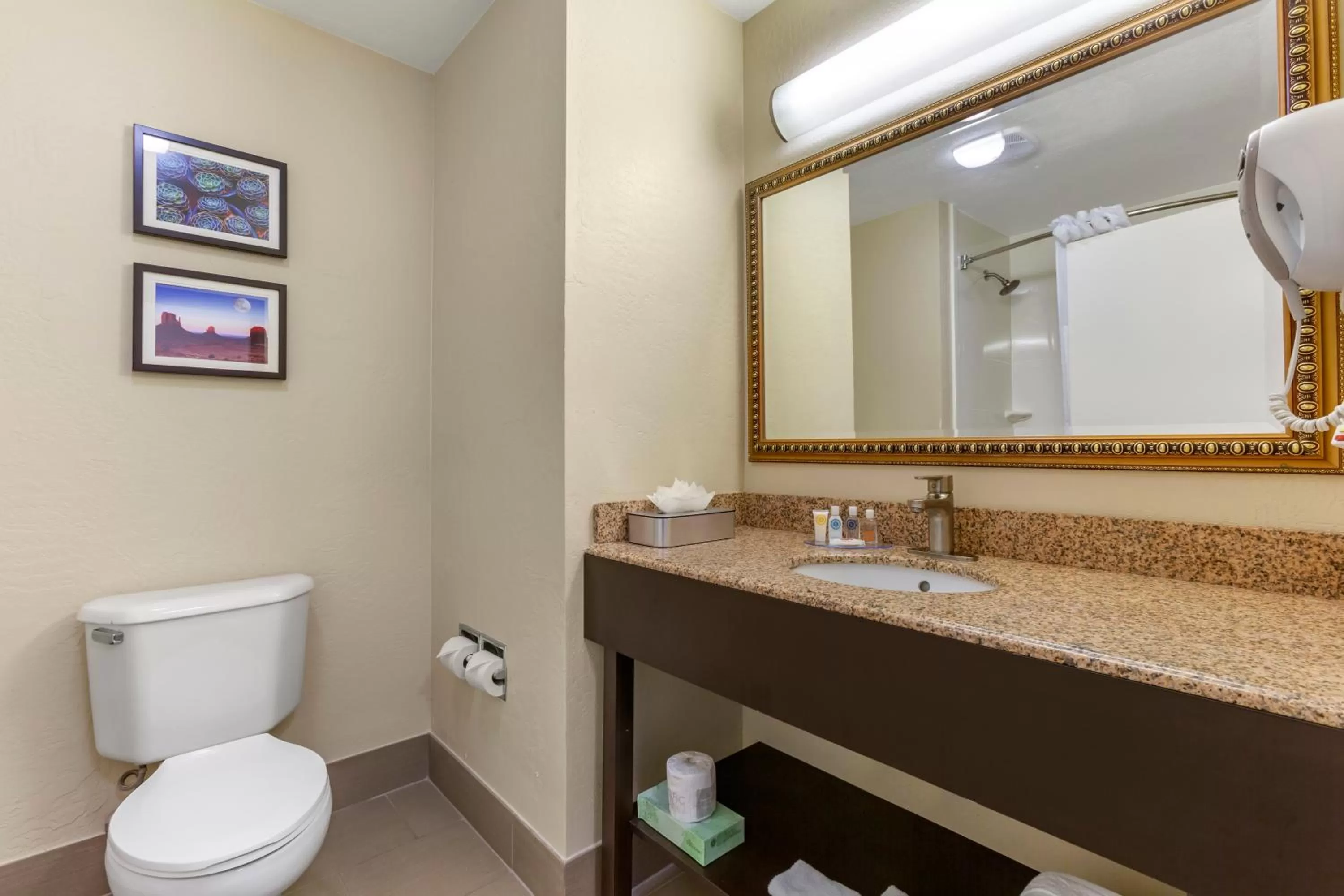 Bathroom in Comfort Inn & Suites Surprise Near Sun City West