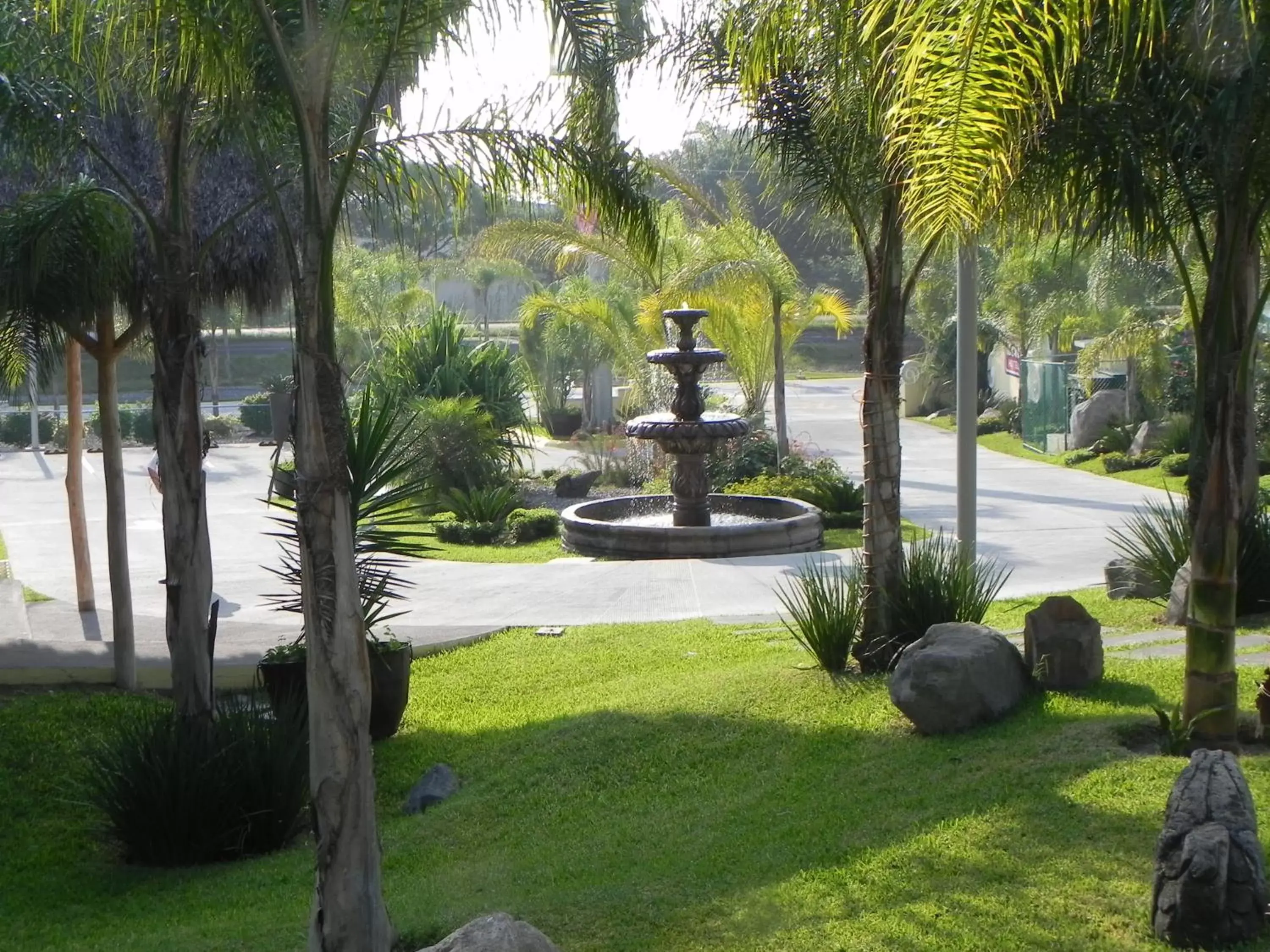 Garden in Zar Colima