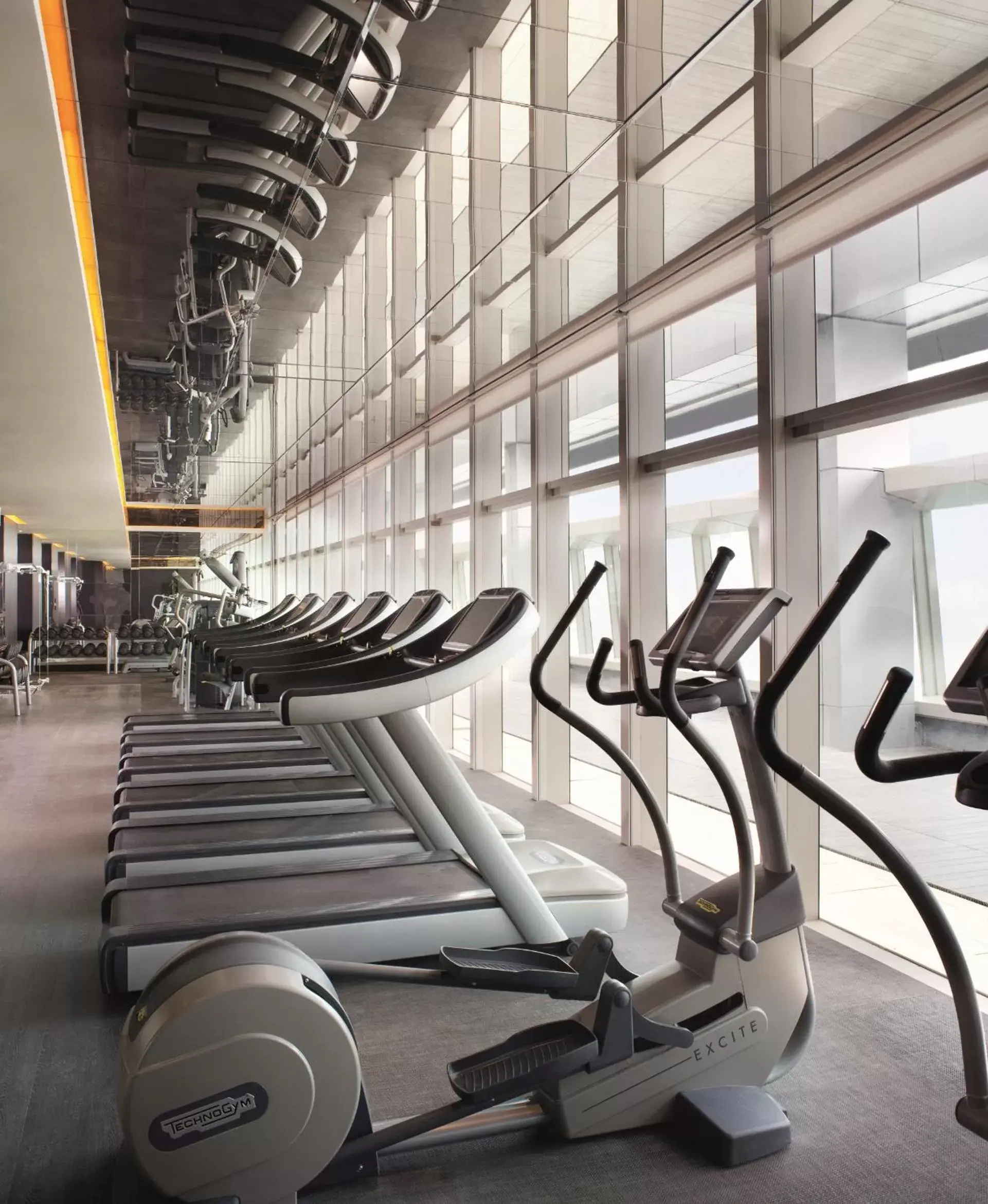 Fitness centre/facilities, Fitness Center/Facilities in The Ritz-Carlton Hong Kong