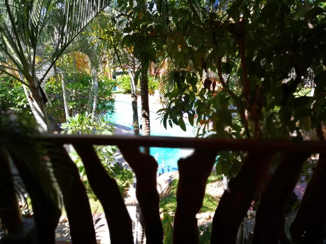 Garden view in Hotel Casamar Suites