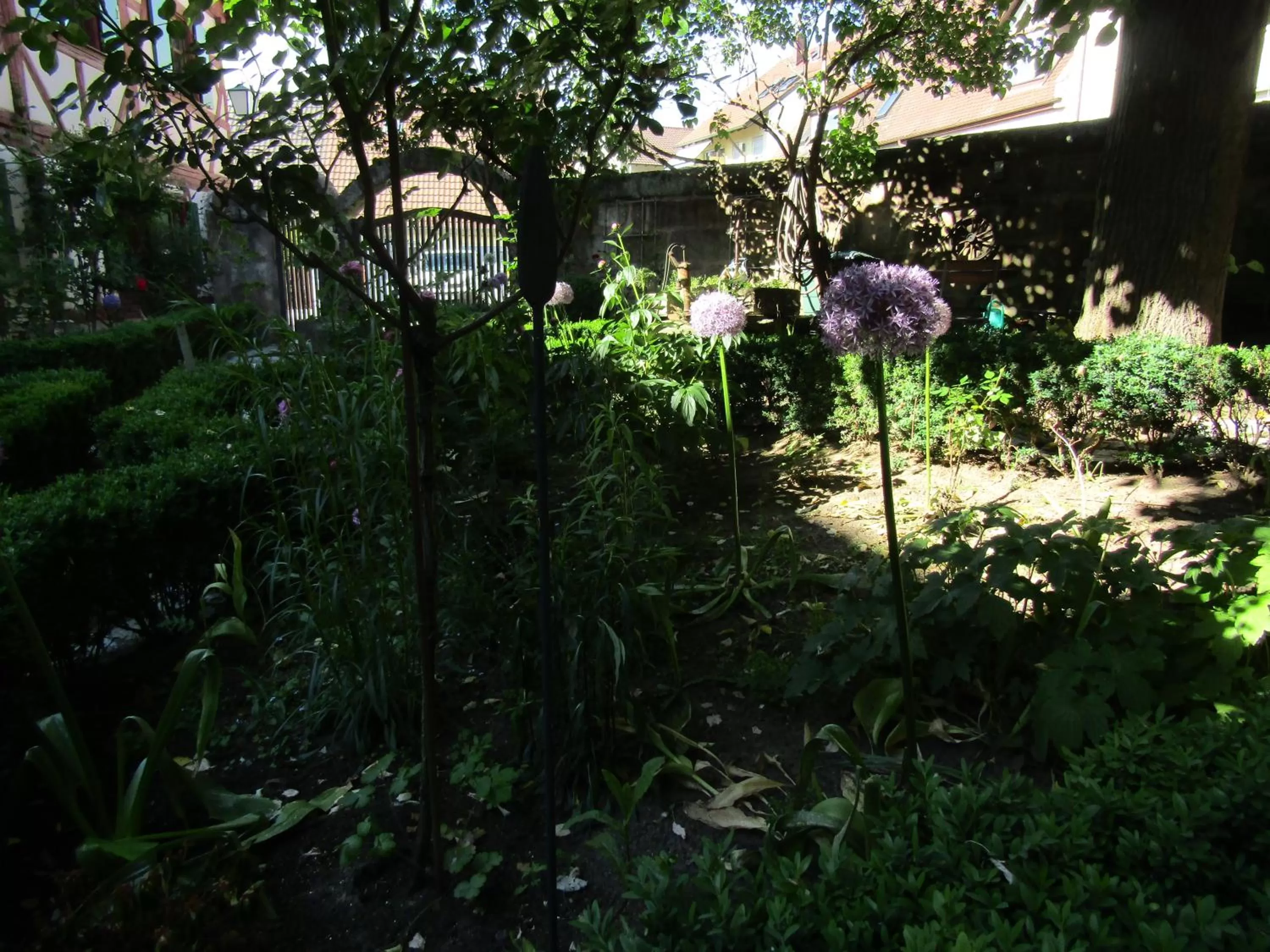 Garden in Hotel und Gasthof Ritter St. Georg