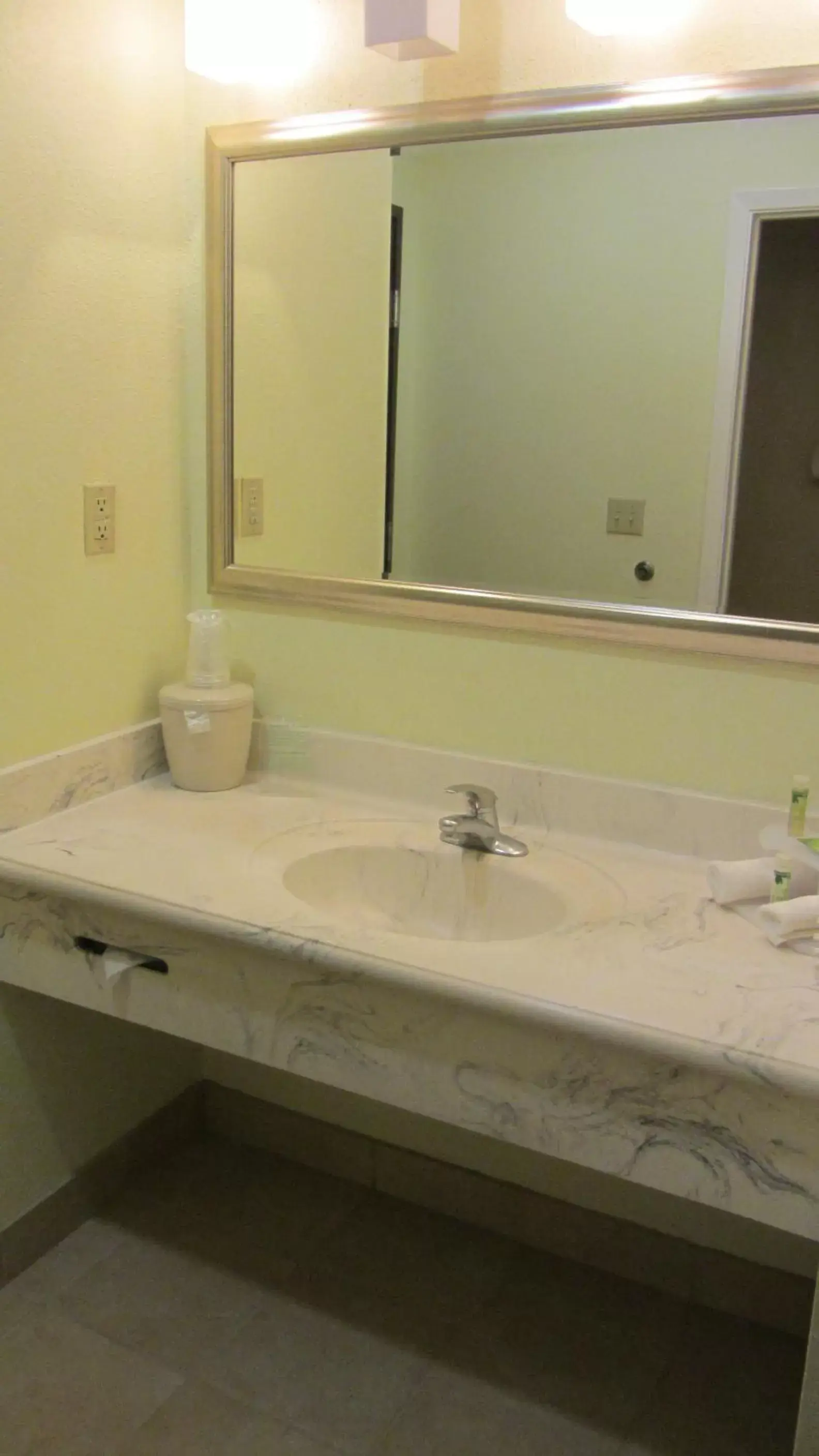 Bathroom in Holiday Inn Express Hotel & Suites Houston North Intercontinental, an IHG Hotel