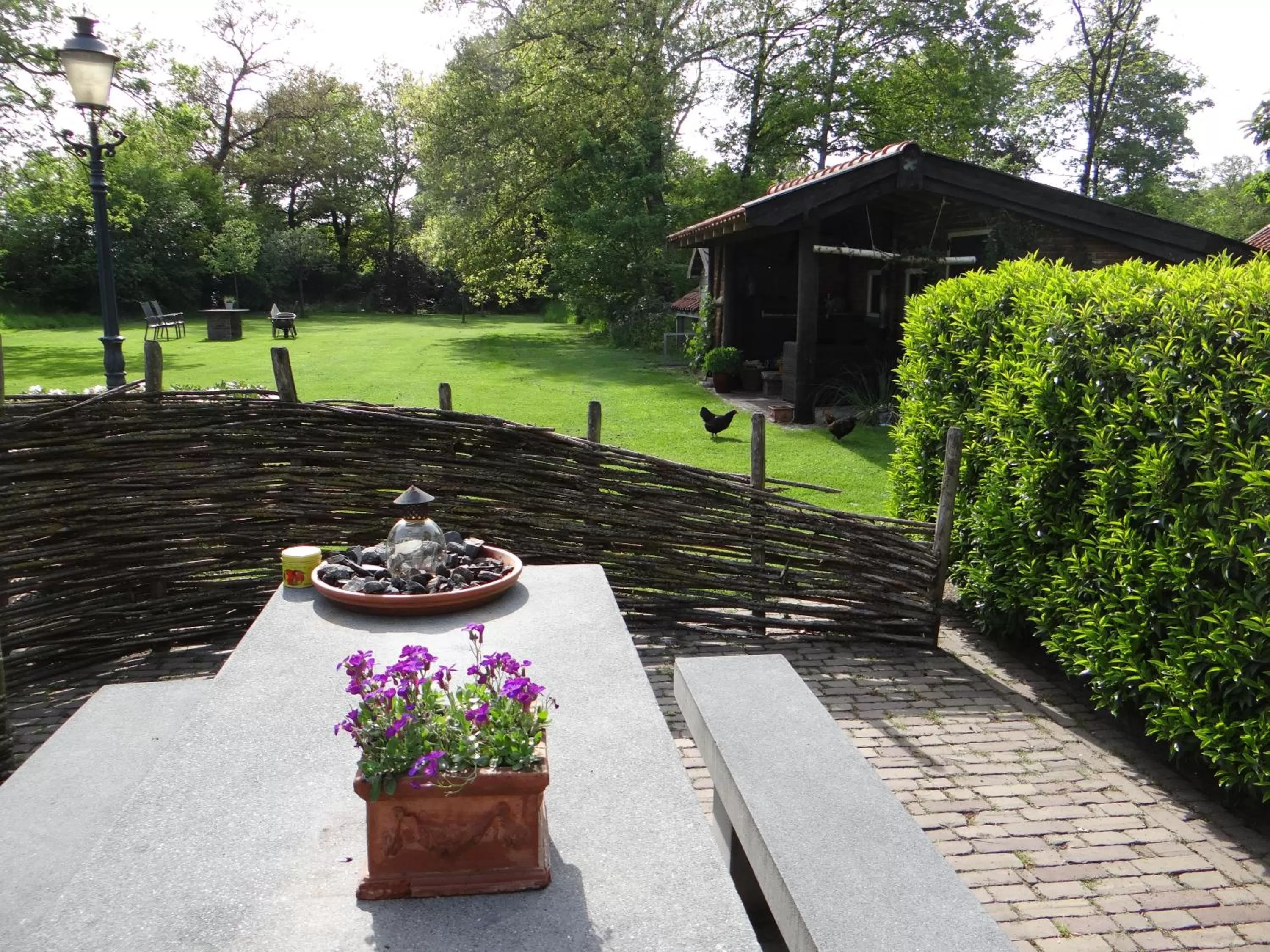 Balcony/Terrace in B&B Gastvrij Lenthe