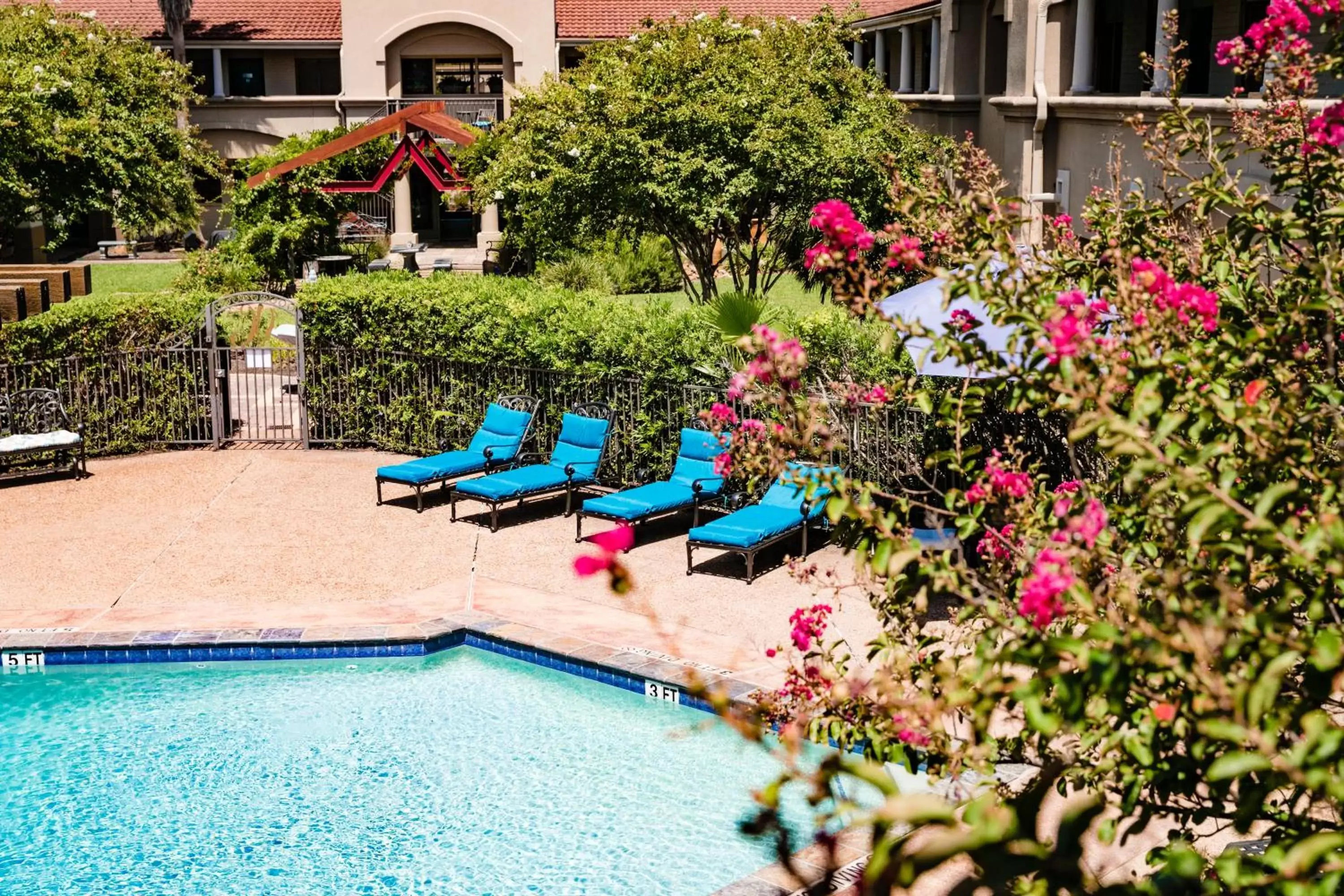 Pool view, Swimming Pool in Vineyard Court Designer Suites Hotel