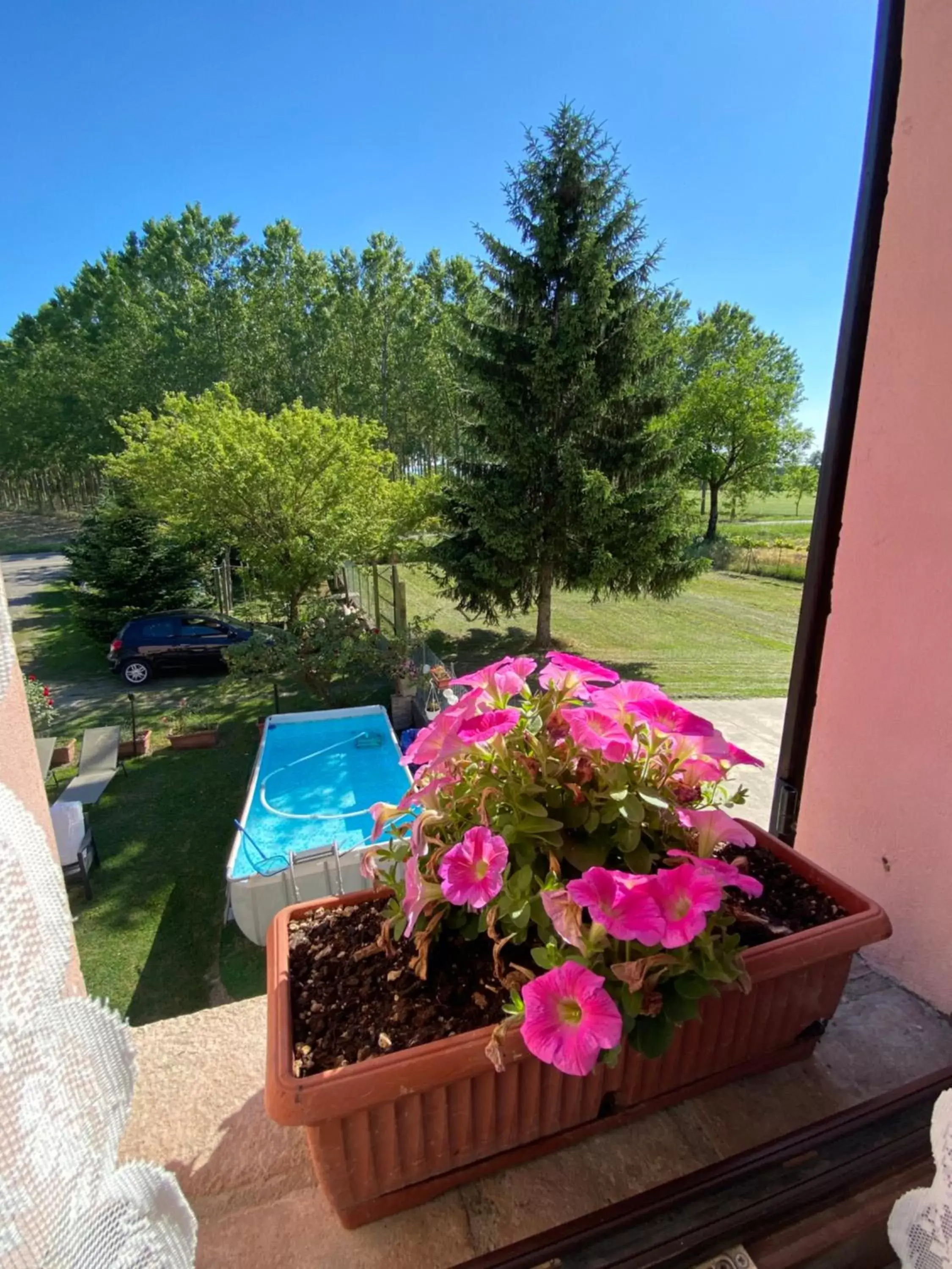 Pool View in B&B Happiness in the Country