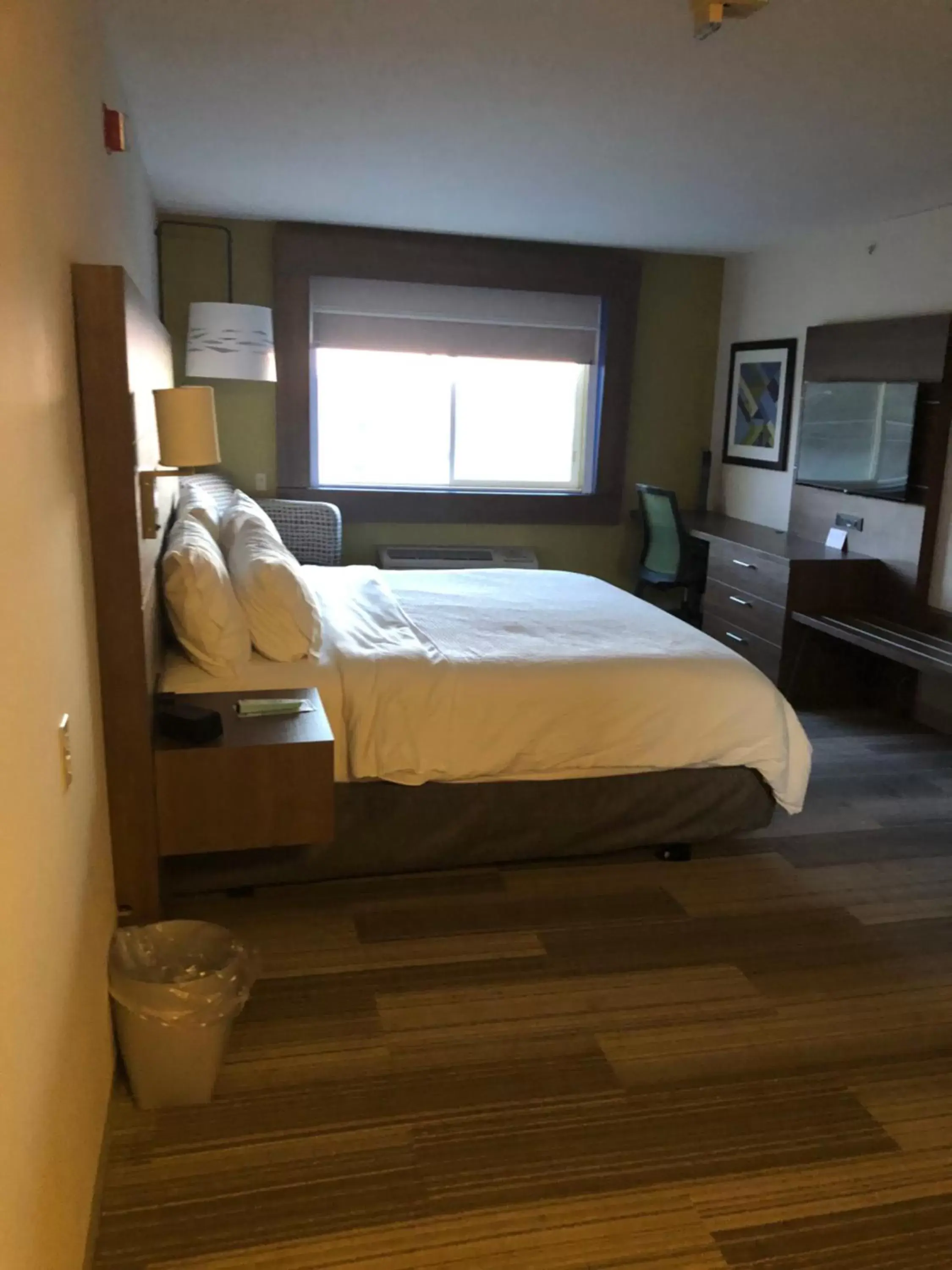 Photo of the whole room, Bed in Holiday Inn Express Mt. Vernon, an IHG Hotel