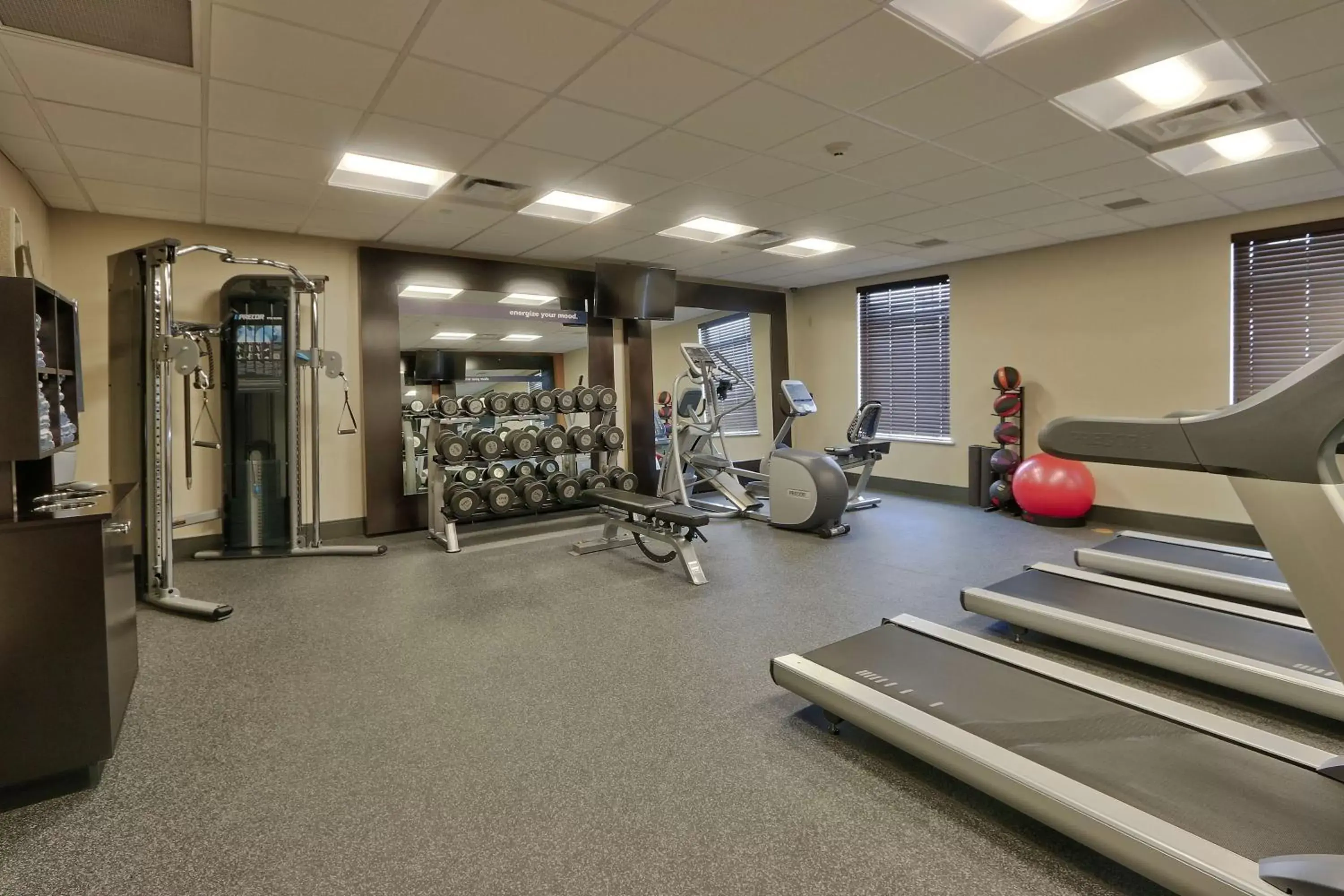 Fitness centre/facilities, Fitness Center/Facilities in Hampton Inn & Suites Artesia