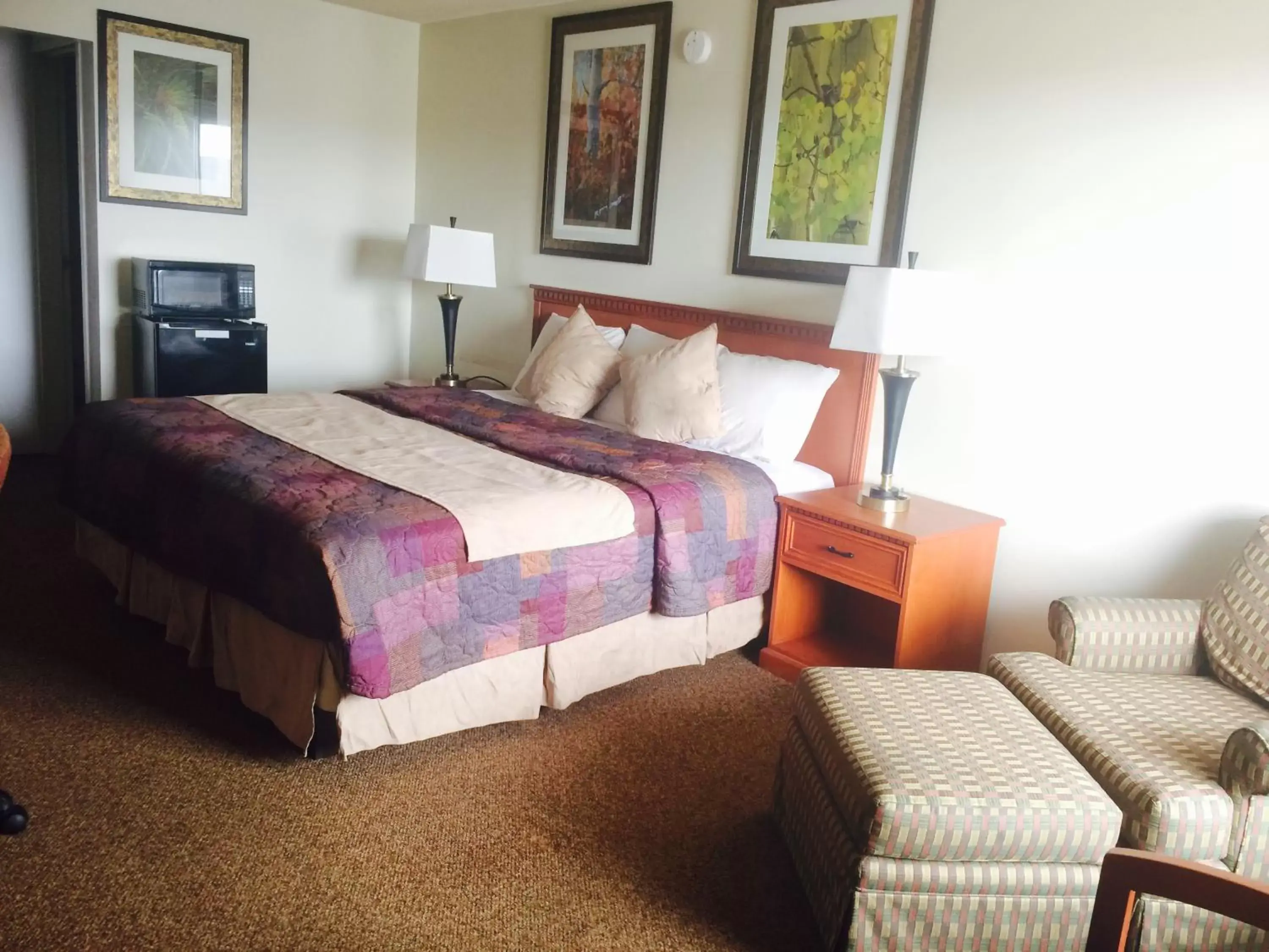 Living room, Bed in Budget Host Platte Valley Inn