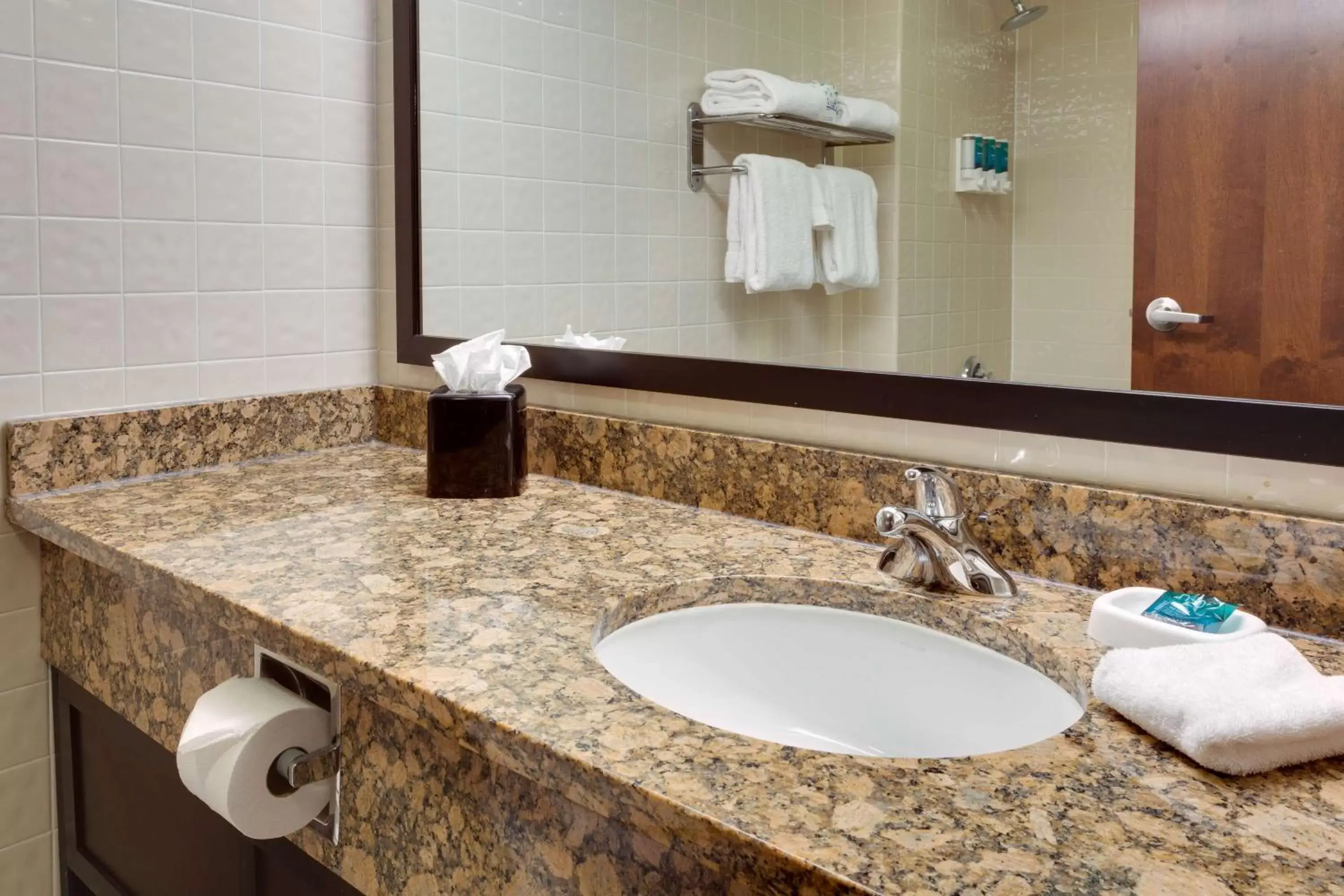 Bathroom in Drury Inn & Suites San Antonio Northeast