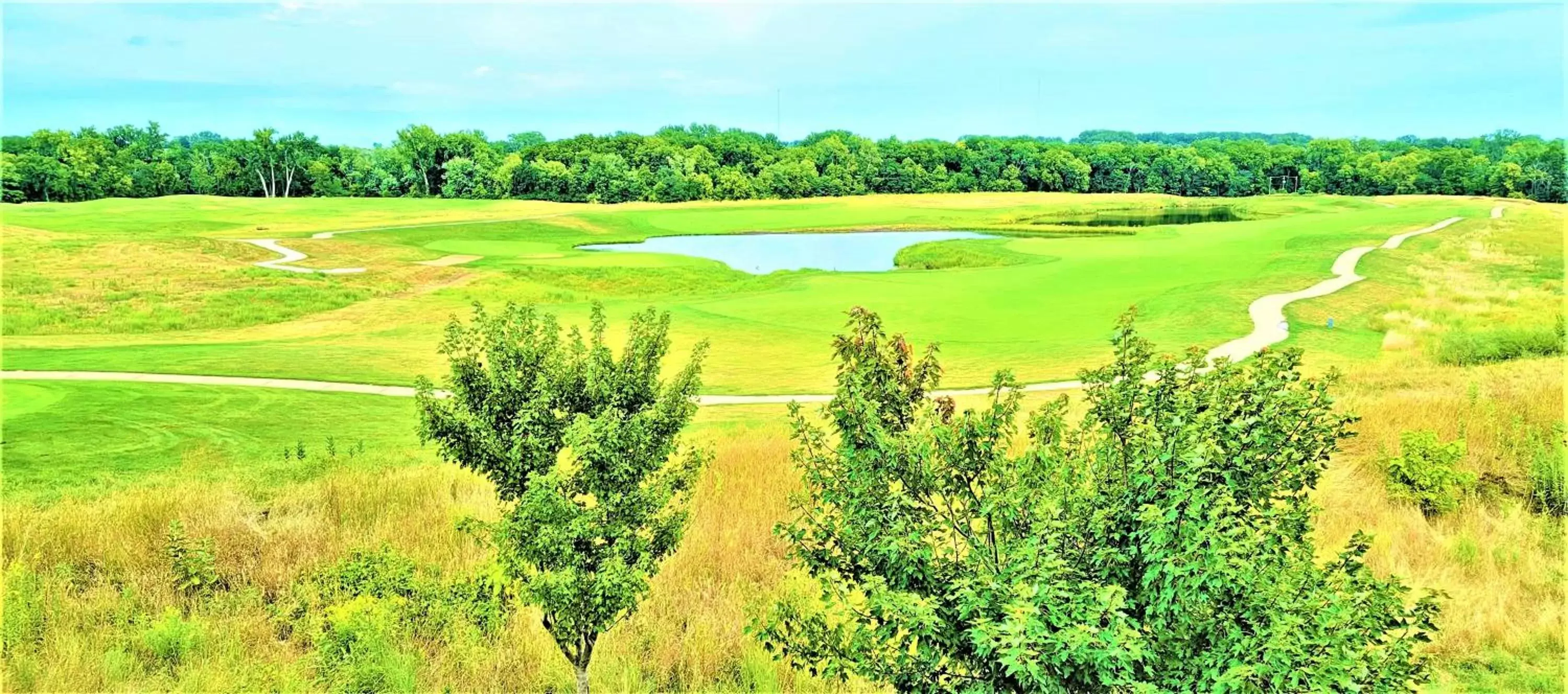 View (from property/room), Golf in Qube Hotel - Polk City