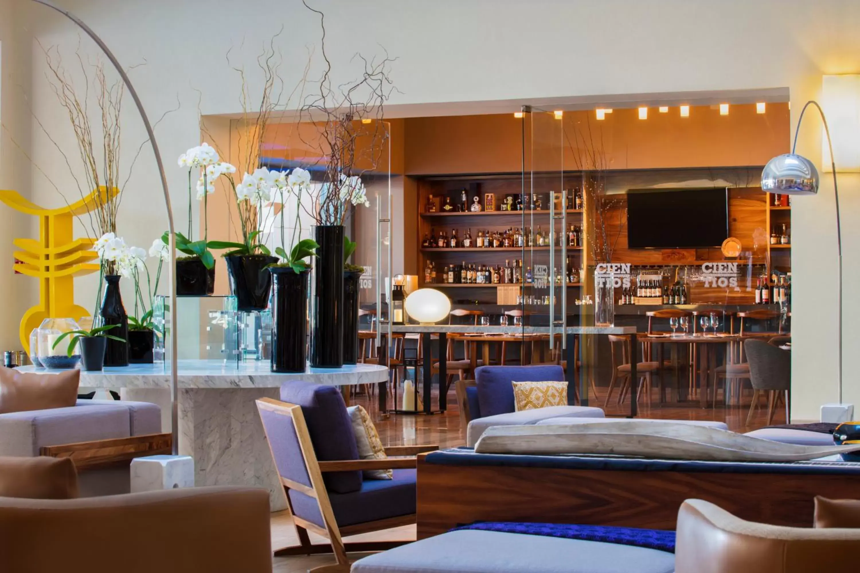 Lobby or reception, Lounge/Bar in Hyatt Centric Campestre Leon