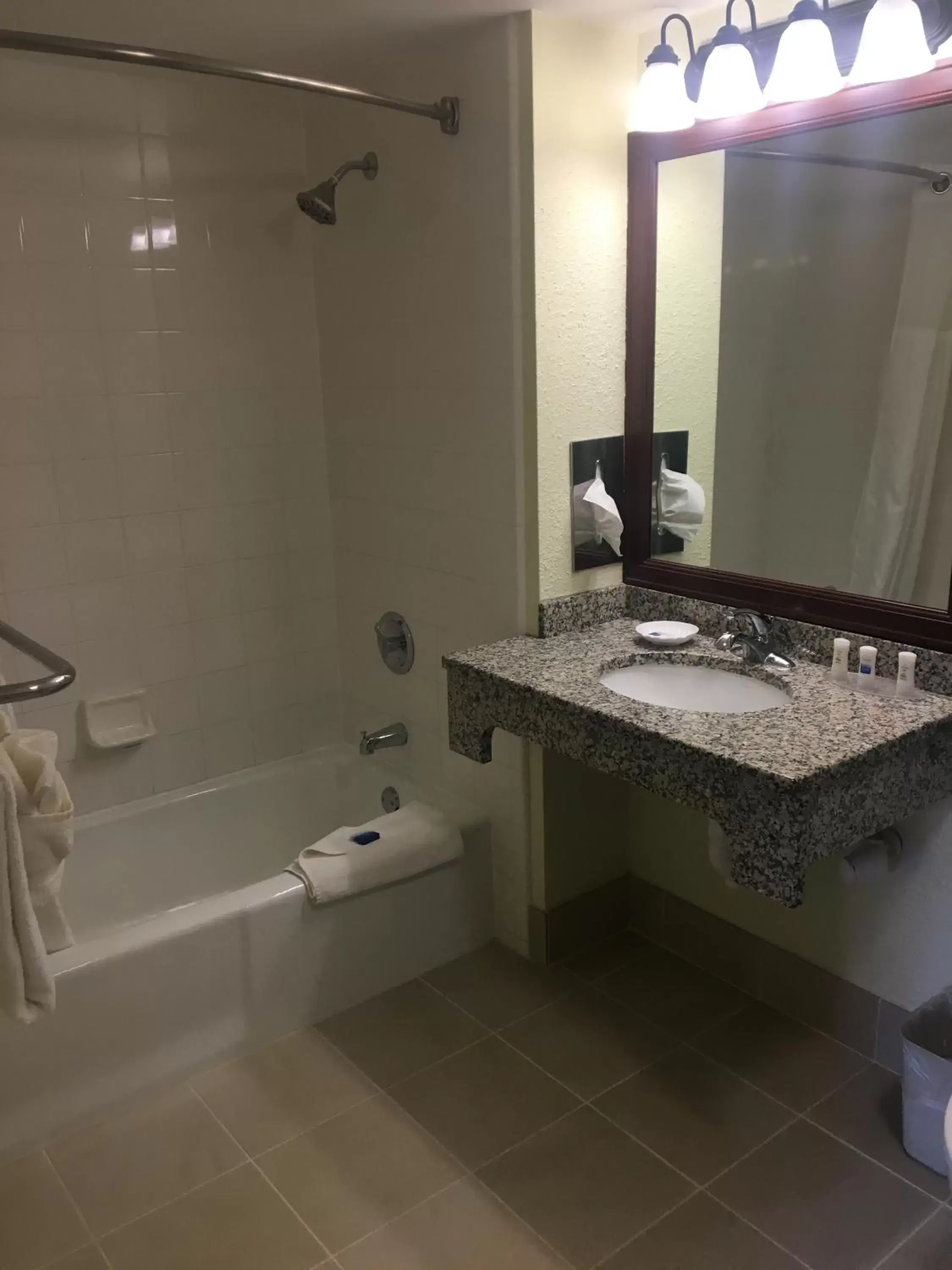 Bathroom in Best Western Plus Siesta Key Gateway