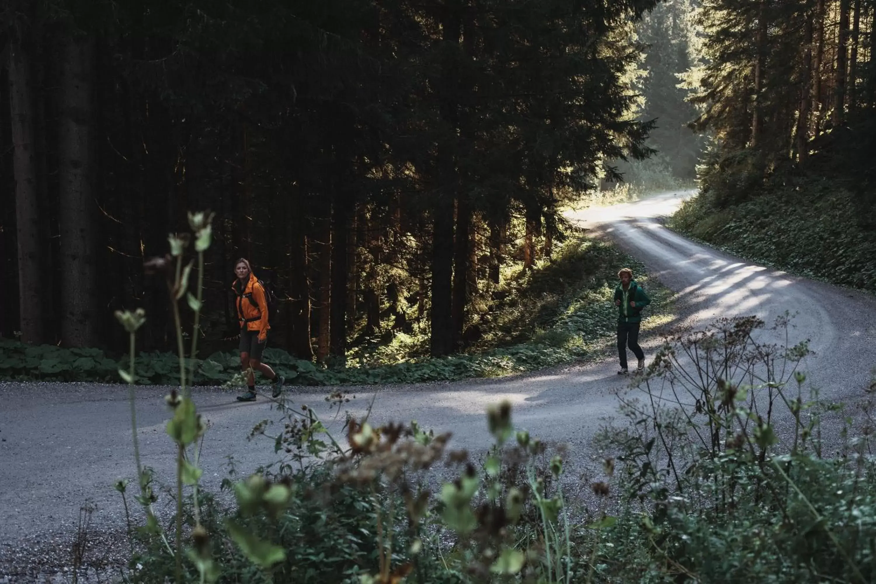 Hiking in Hotel Tauernhof