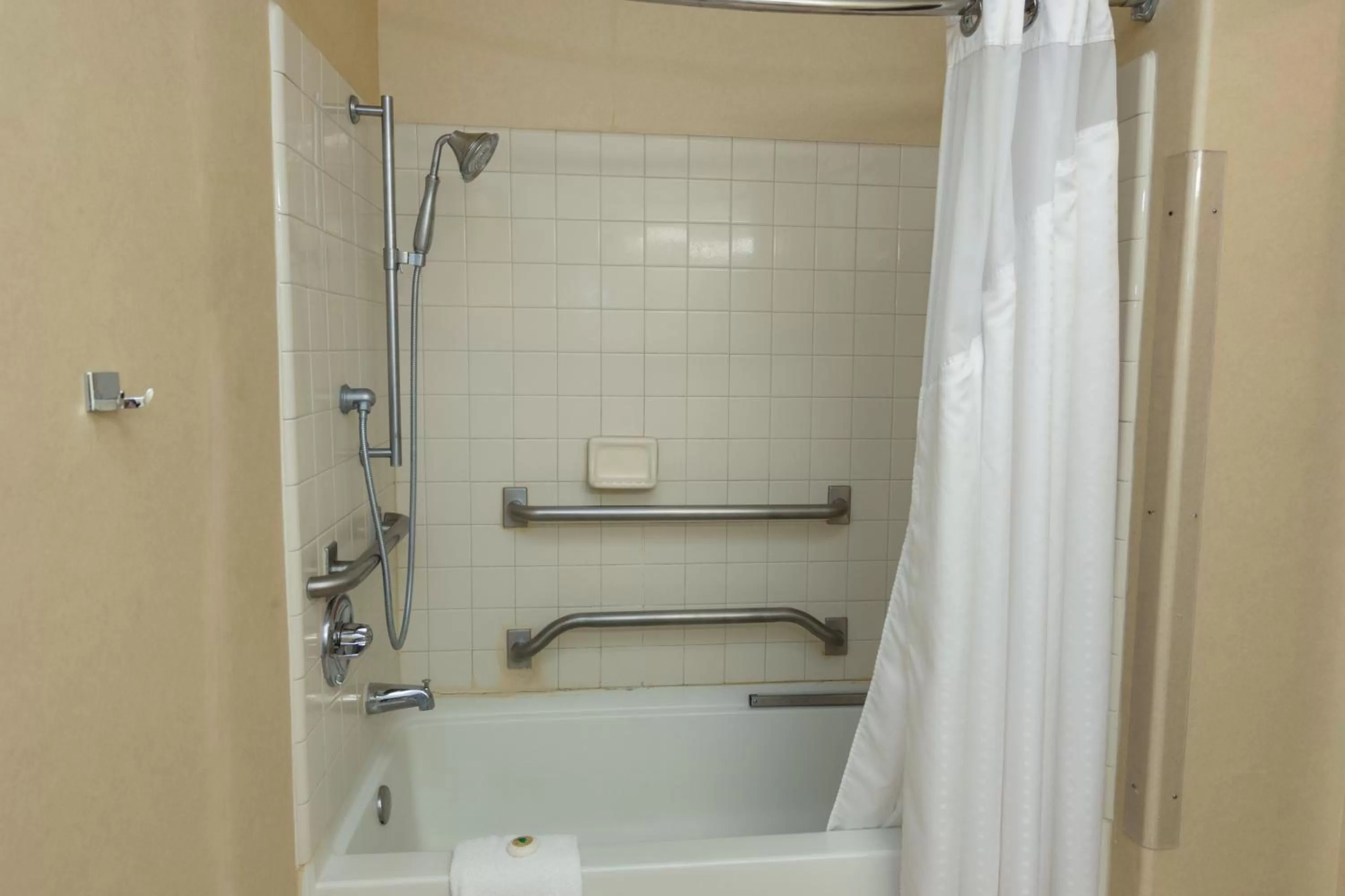 Bathroom in Vagabond Inn Executive