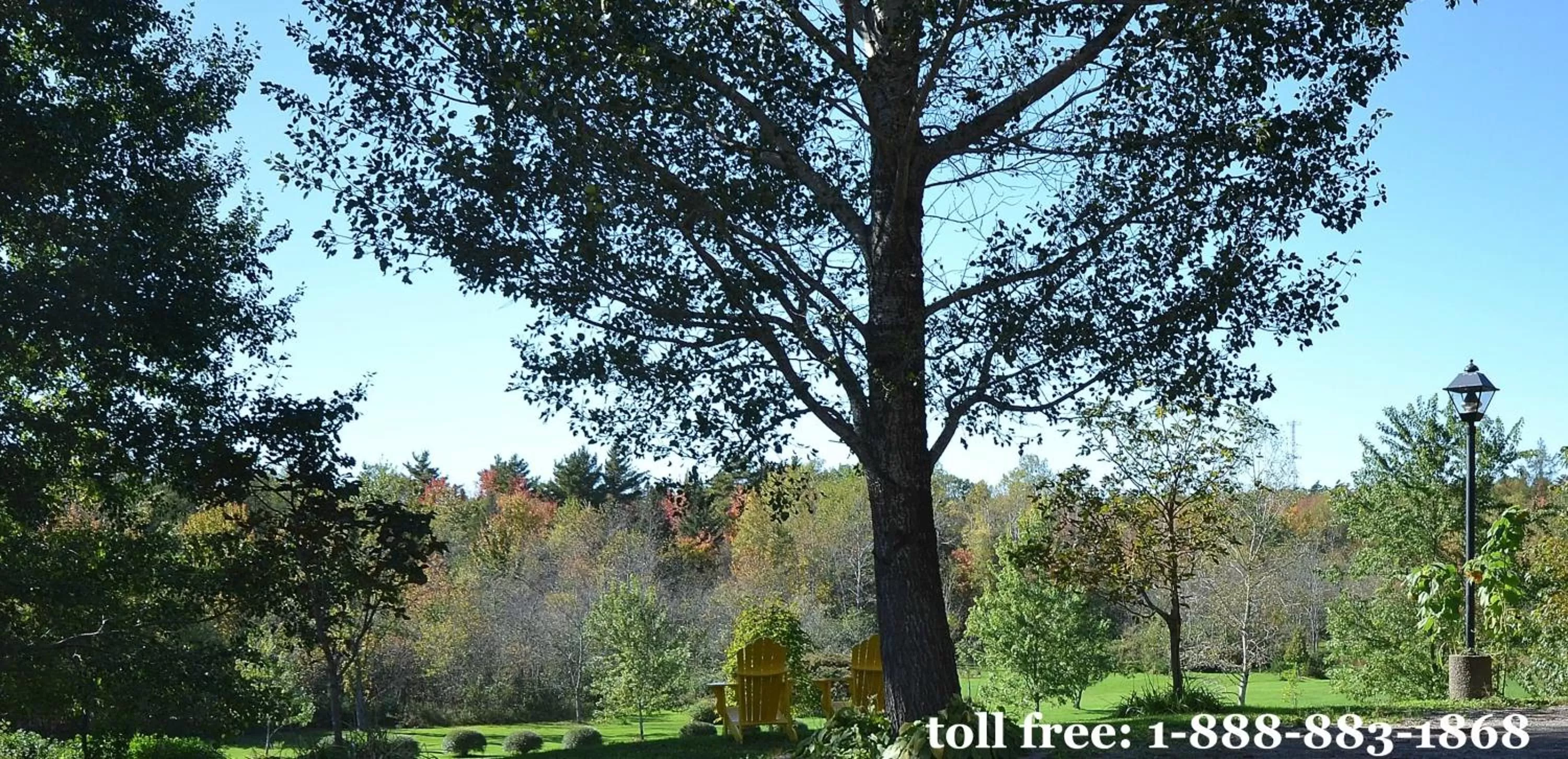 Briarwood Bed & Breakfast