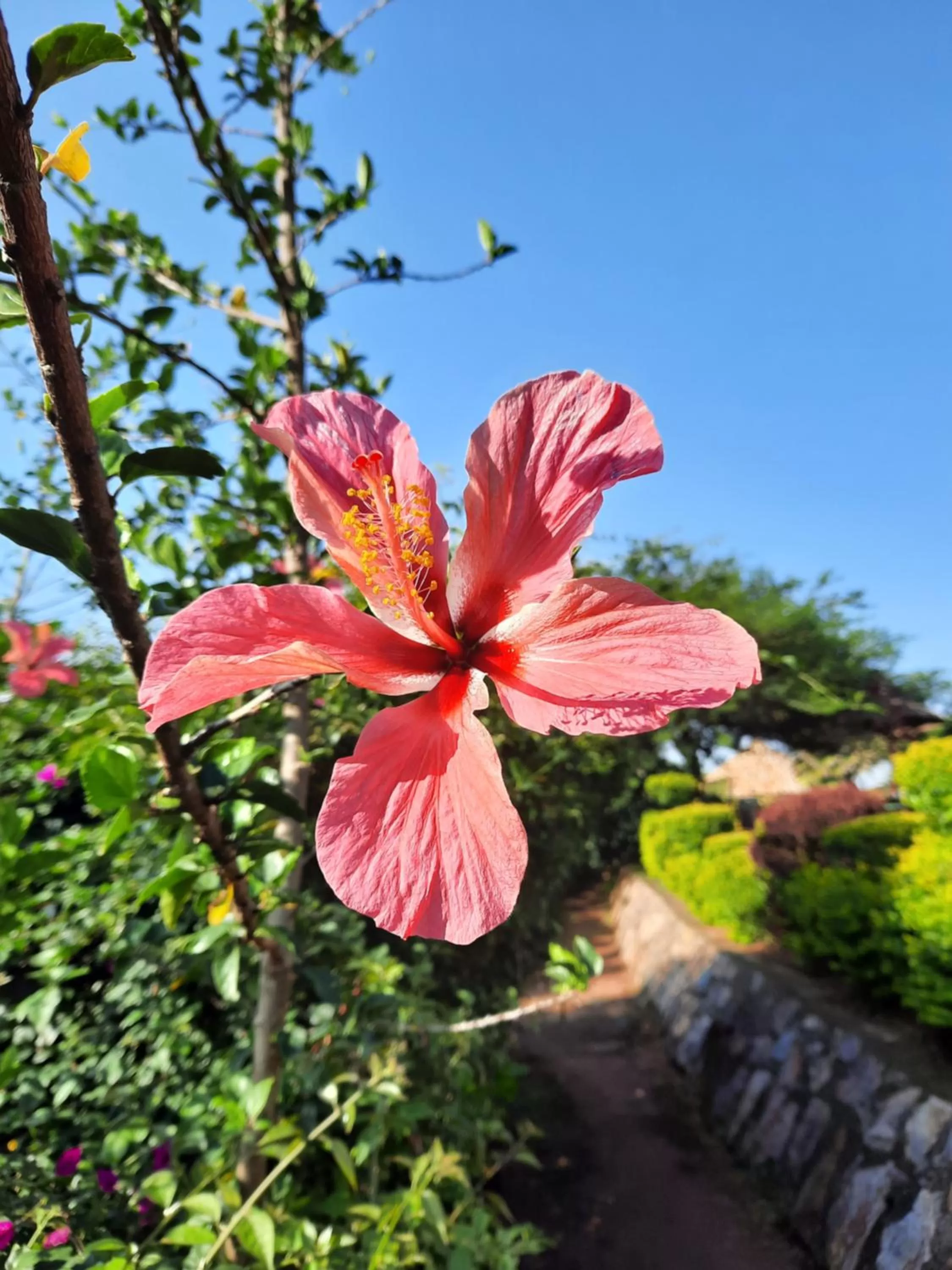 Day in Isange Paradise Resort