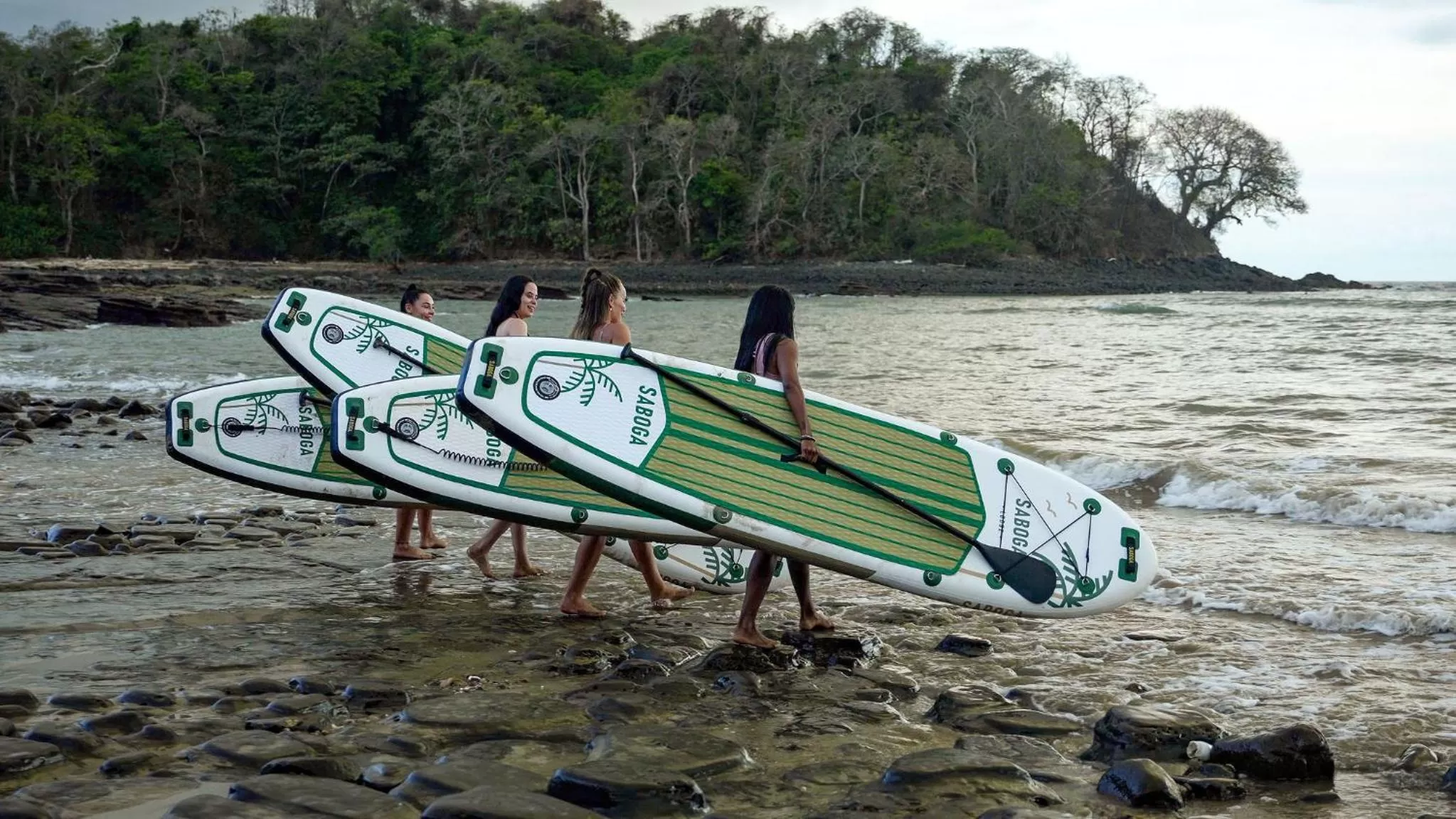 Natural landscape in Saboga Lodge