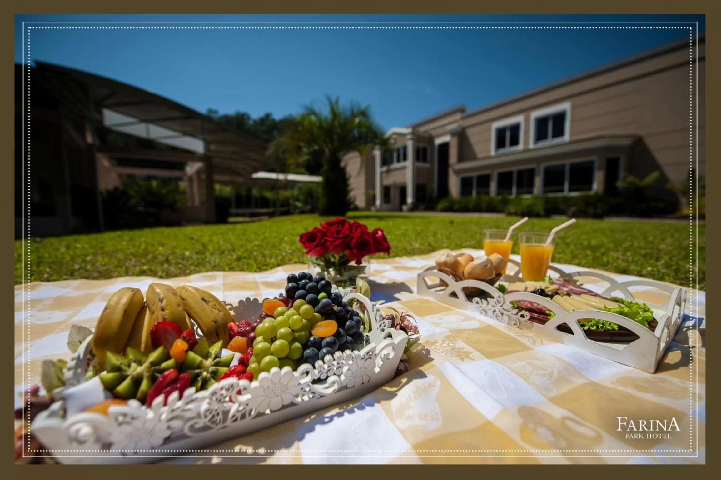 Garden in Farina Park Hotel
