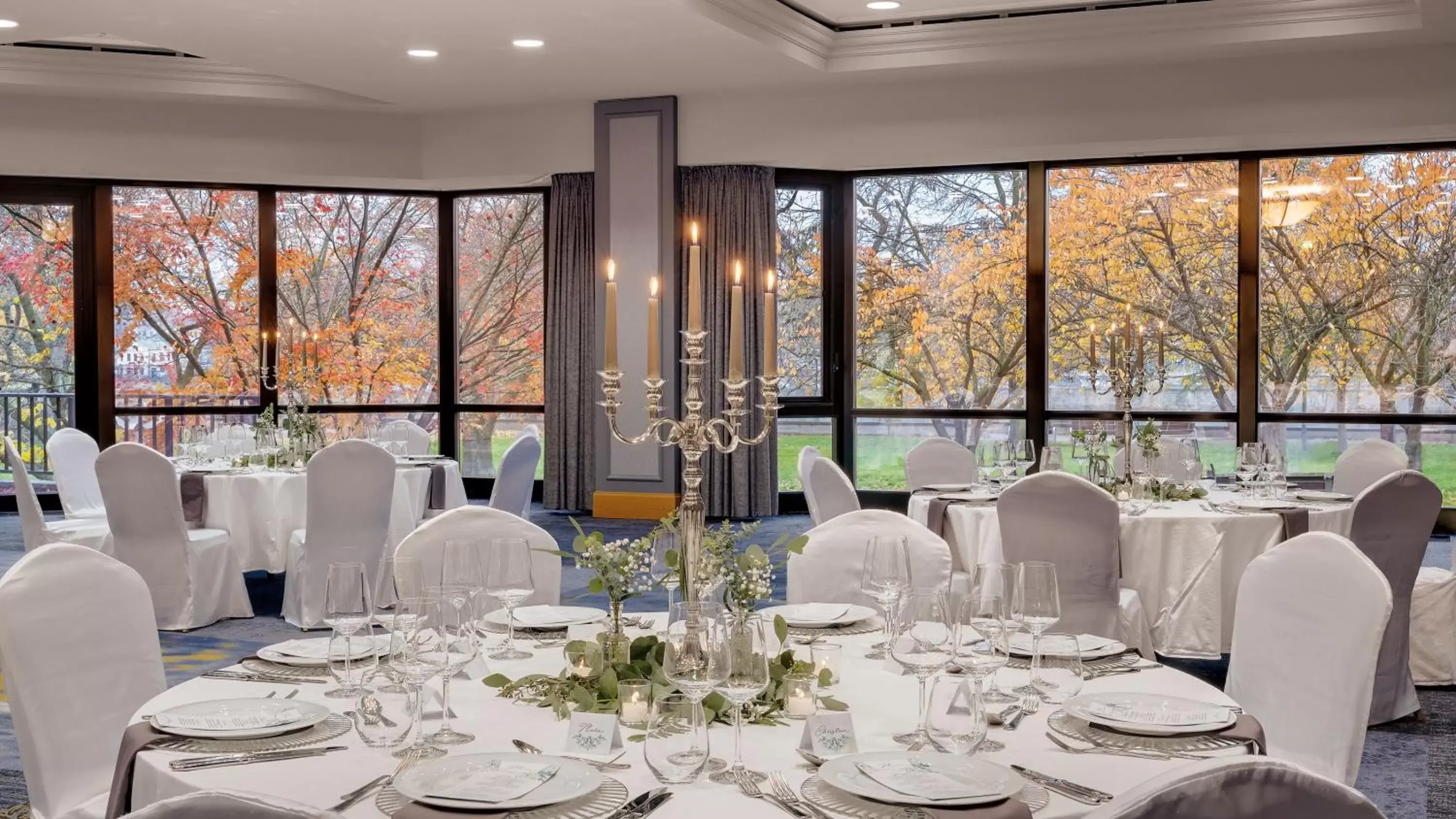 Banquet/Function facilities, Banquet Facilities in Bilderberg Bellevue Hotel Dresden