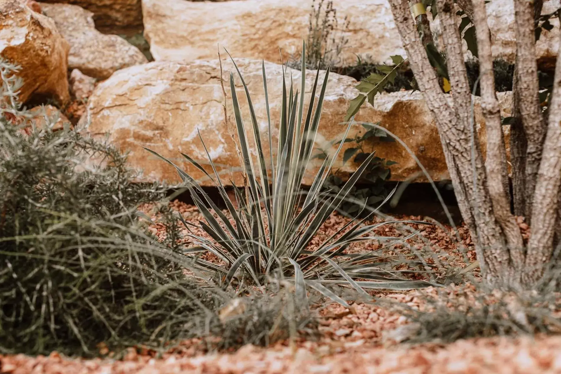 Garden in FAVAI HILLS your secret hideaway