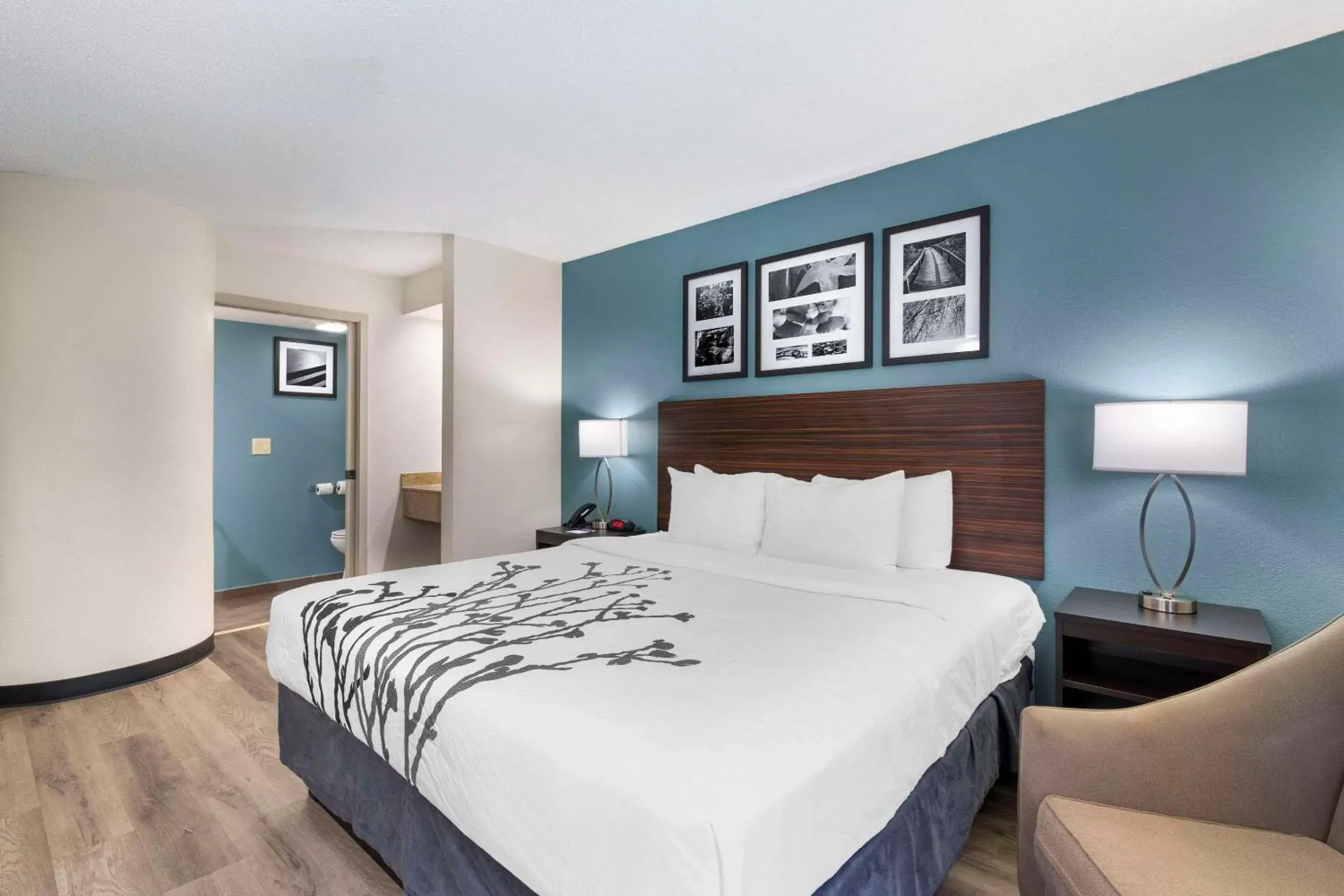 Bedroom, Bed in Sleep Inn Mt Pleasant - Charleston Bedroom, Bed in Sleep Inn Mt Pleasant - Charleston