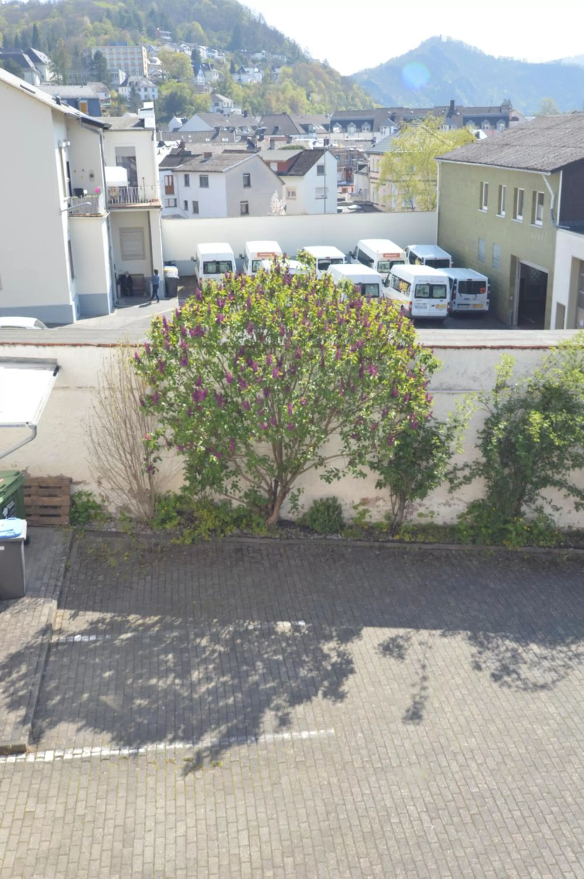 Neighbourhood in Aktivhotel Alter Kaiser