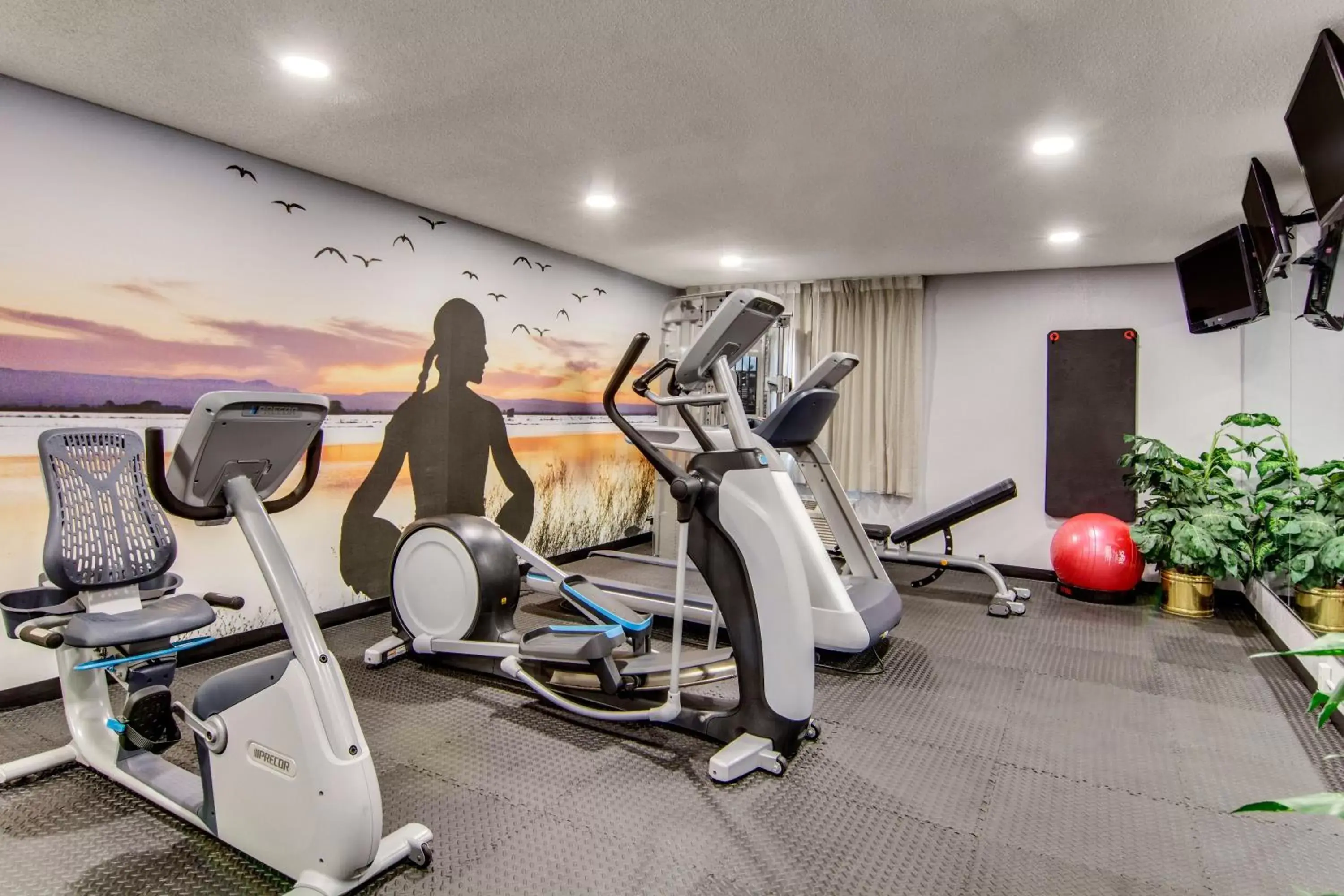 Fitness centre/facilities, Fitness Center/Facilities in Clarion Pointe on the Lake Clarksville - South Hill West
