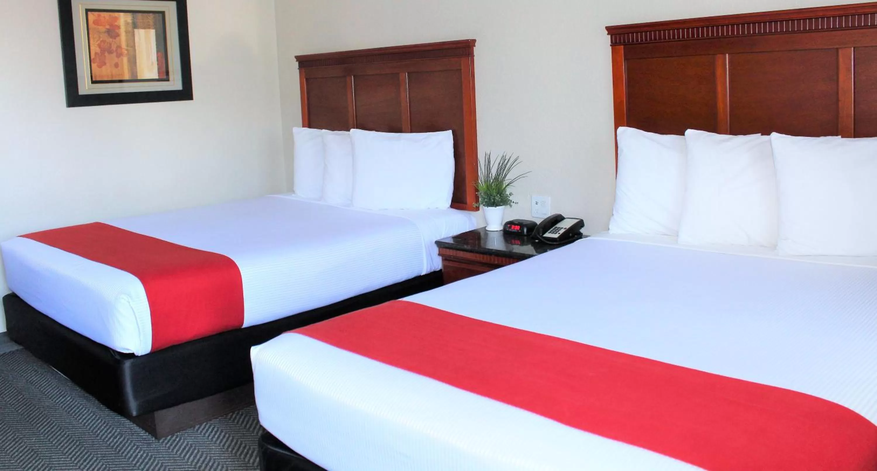 Bedroom, Bed in Rodeway Inn South San Francisco Airport