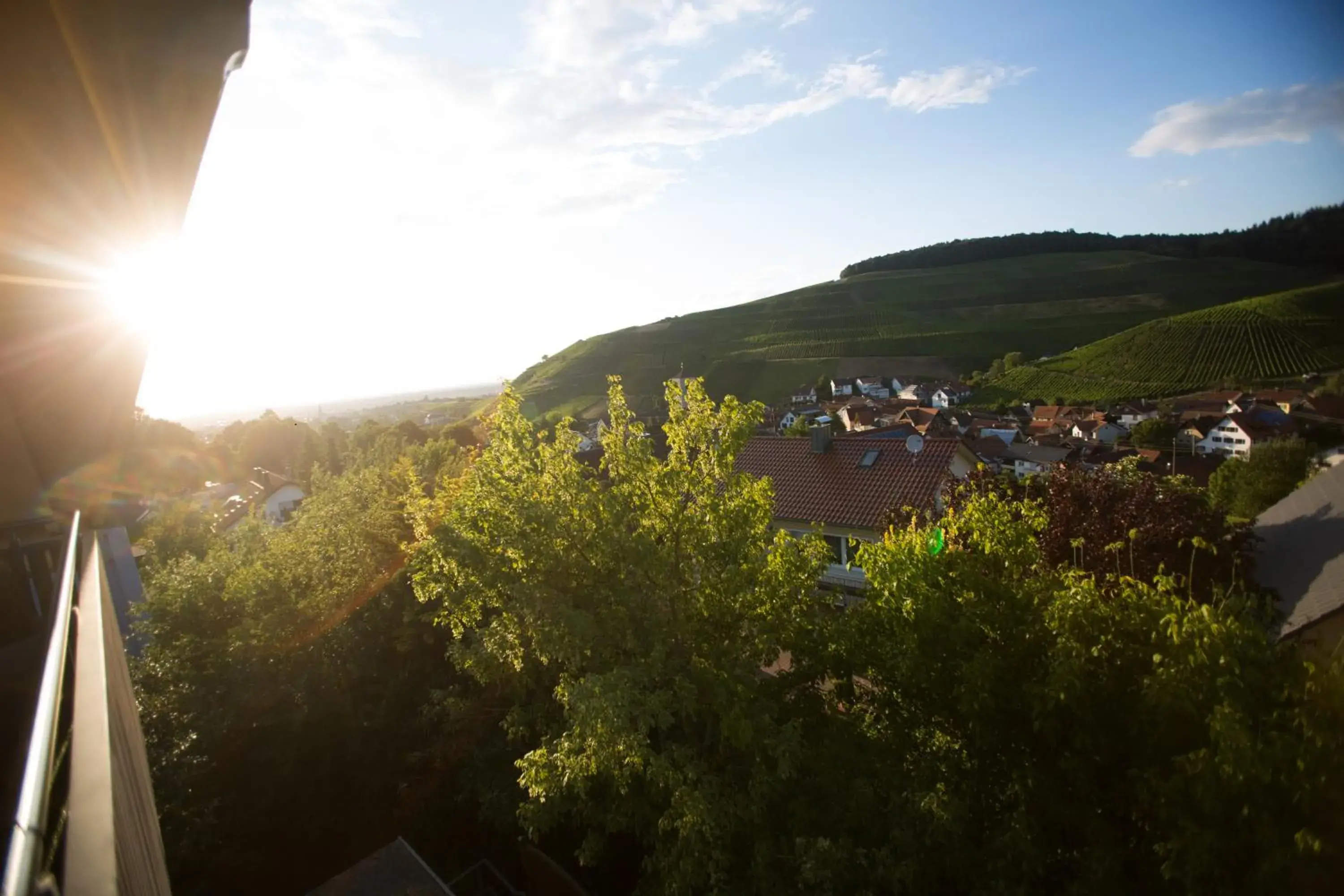 Balcony/Terrace in Hotel Heiligenstein