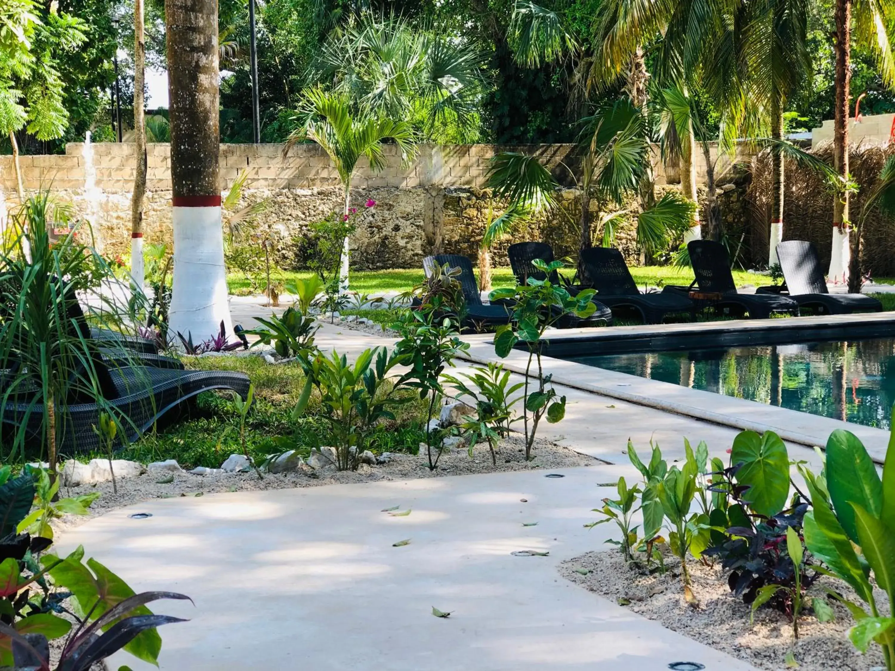 Garden in Tierra maya Hotel & Sanctuary