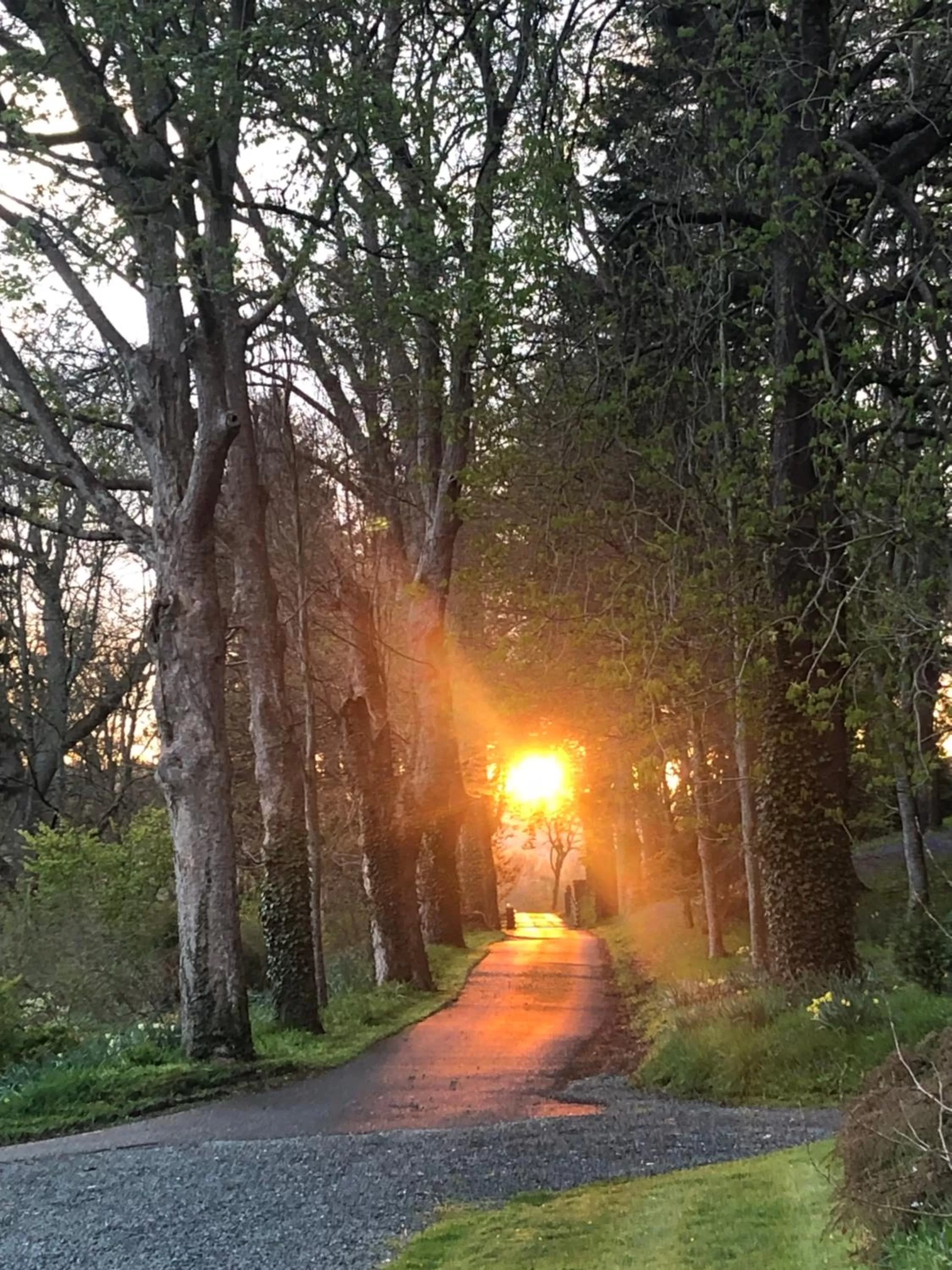 Property building in The Skreen