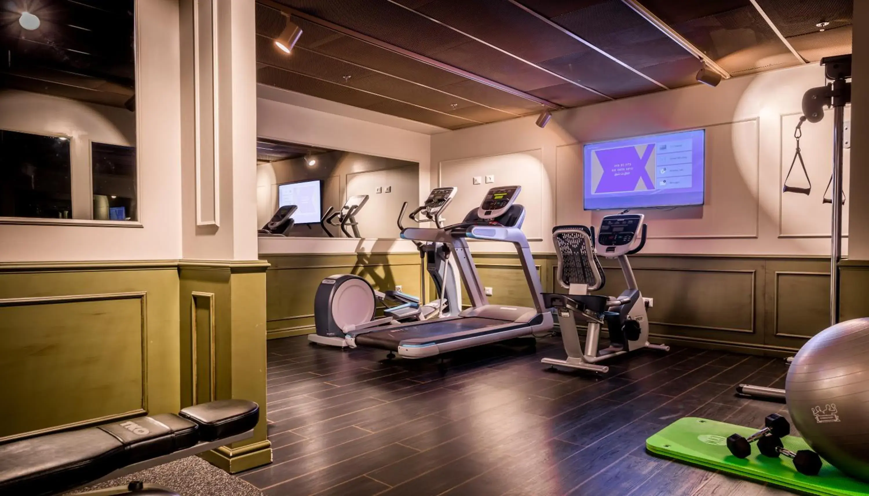 Fitness centre/facilities, Fitness Center/Facilities in TRYP by Wyndham Jerusalem Bat Sheva