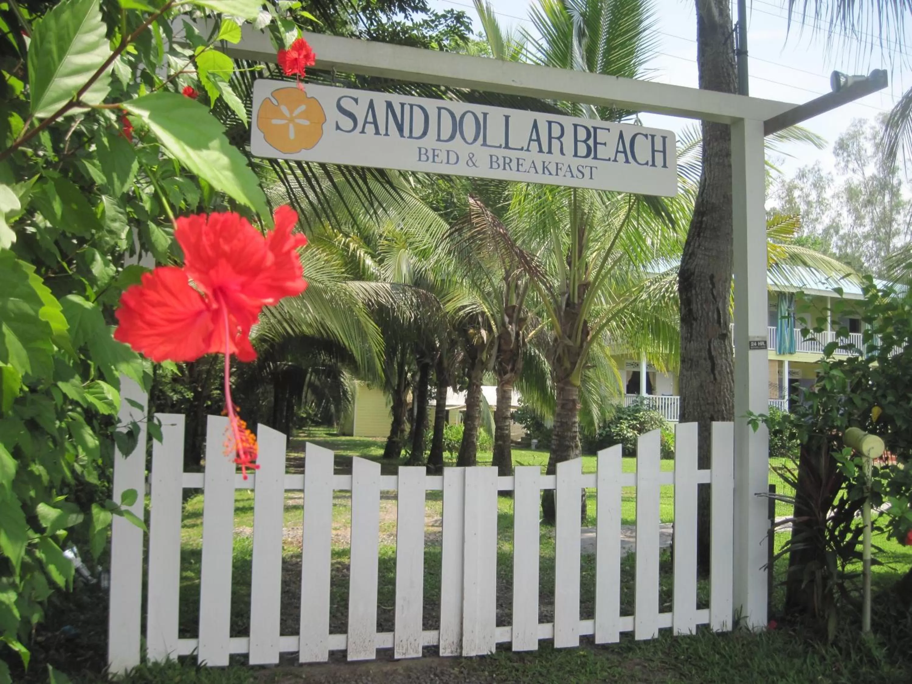 Facade/entrance in Sand Dollar Beach Bed & Breakfast