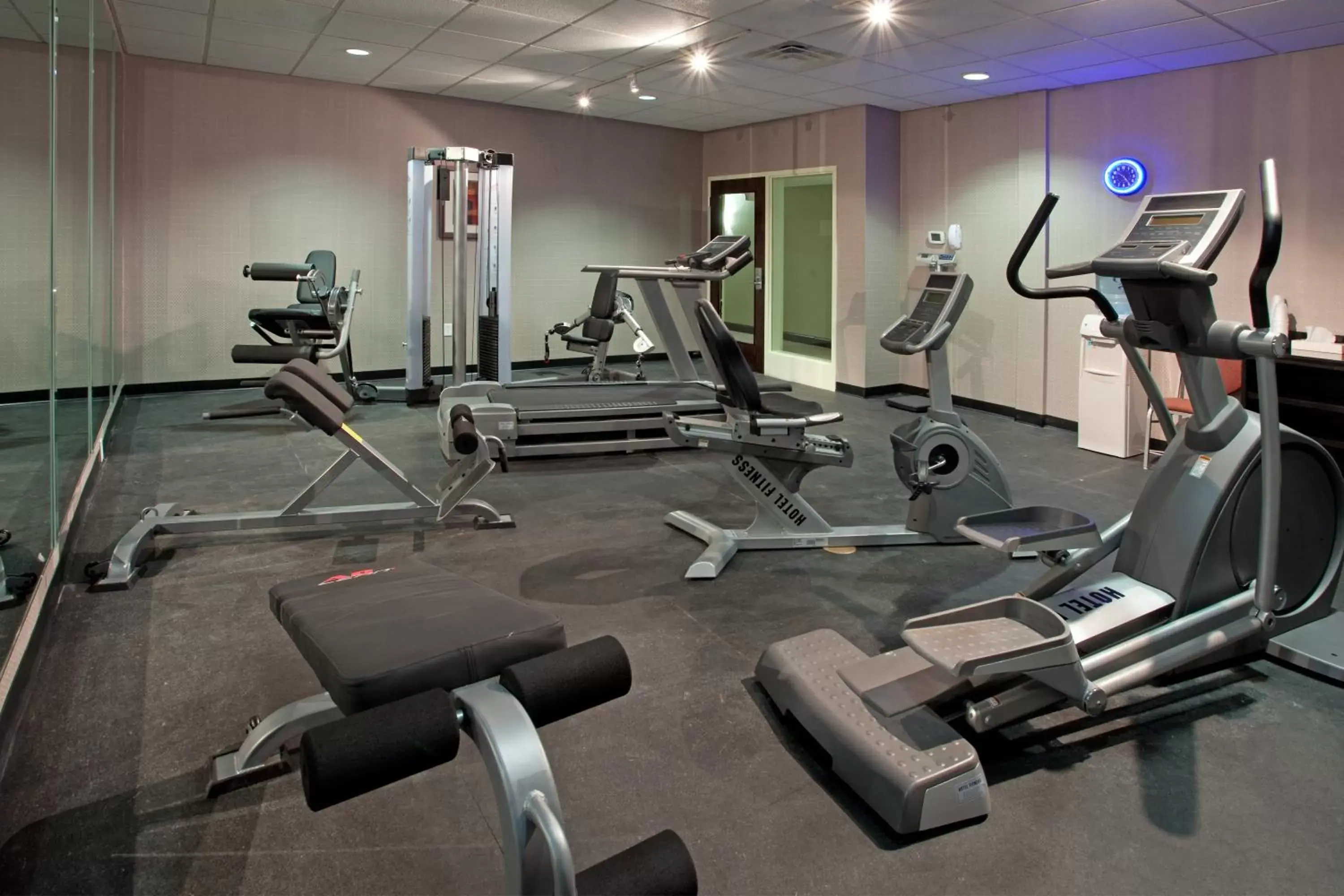 Fitness centre/facilities, Fitness Center/Facilities in Holiday Inn Express Hotel & Suites Clemson - University Area, an IHG Hotel