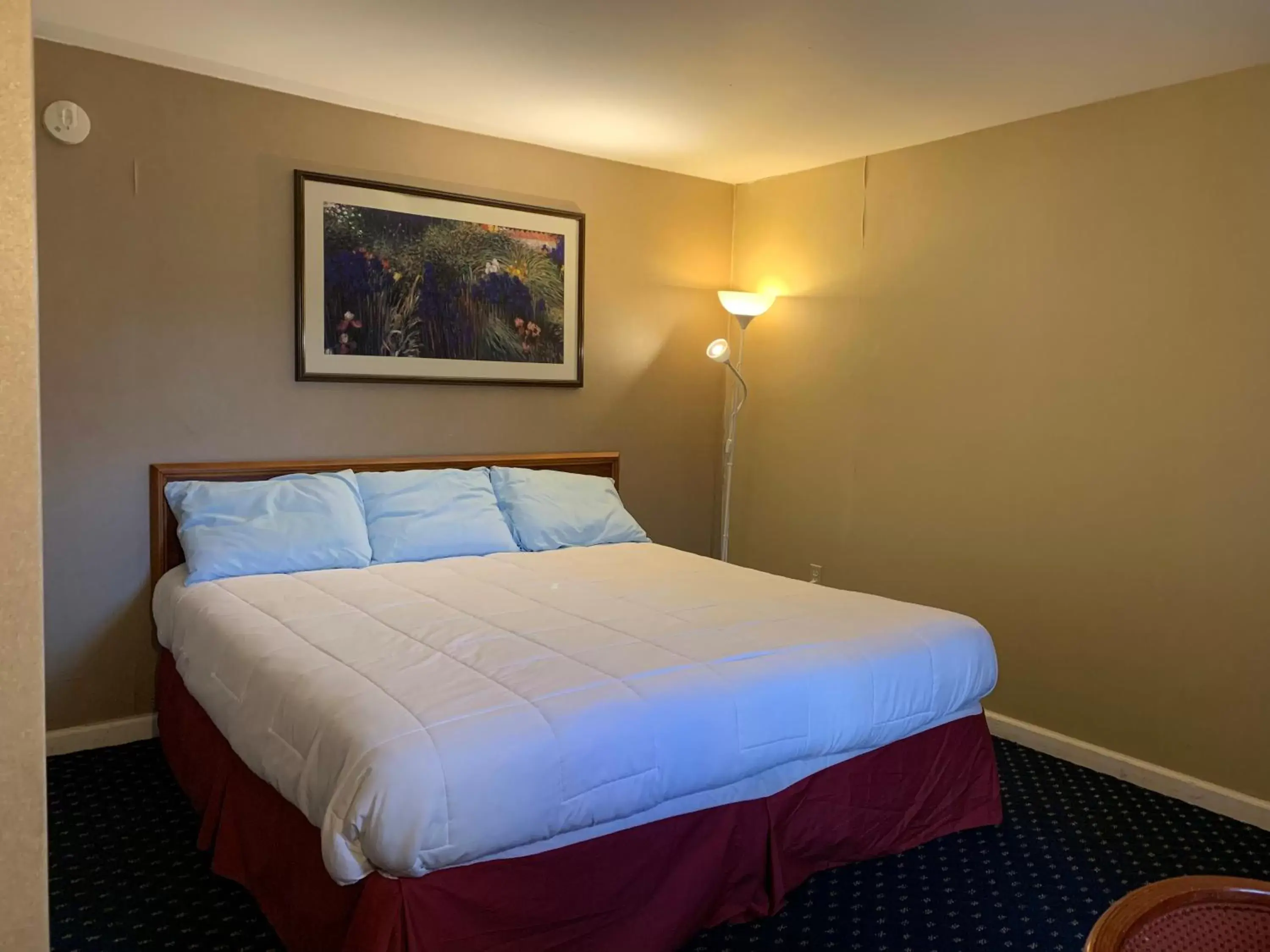 Bed in Scottish Inns Fayetteville