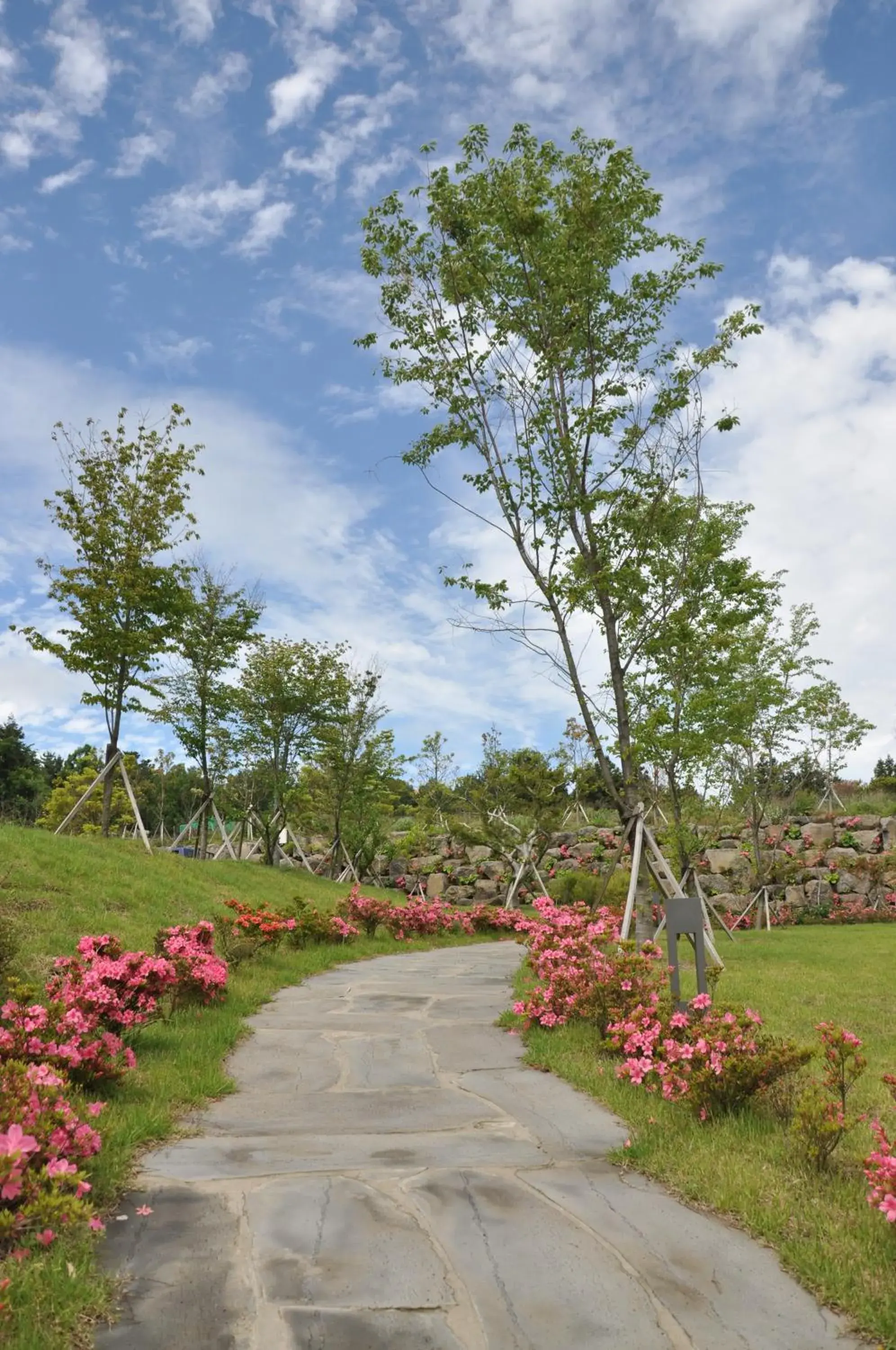 Neighbourhood in HOTEL NANTA JEJU