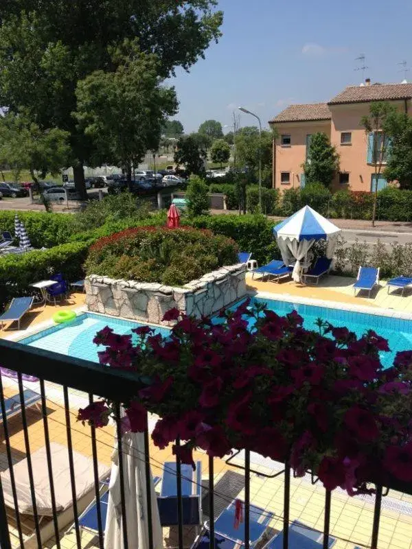 Other, Pool View in Hotel Harry's