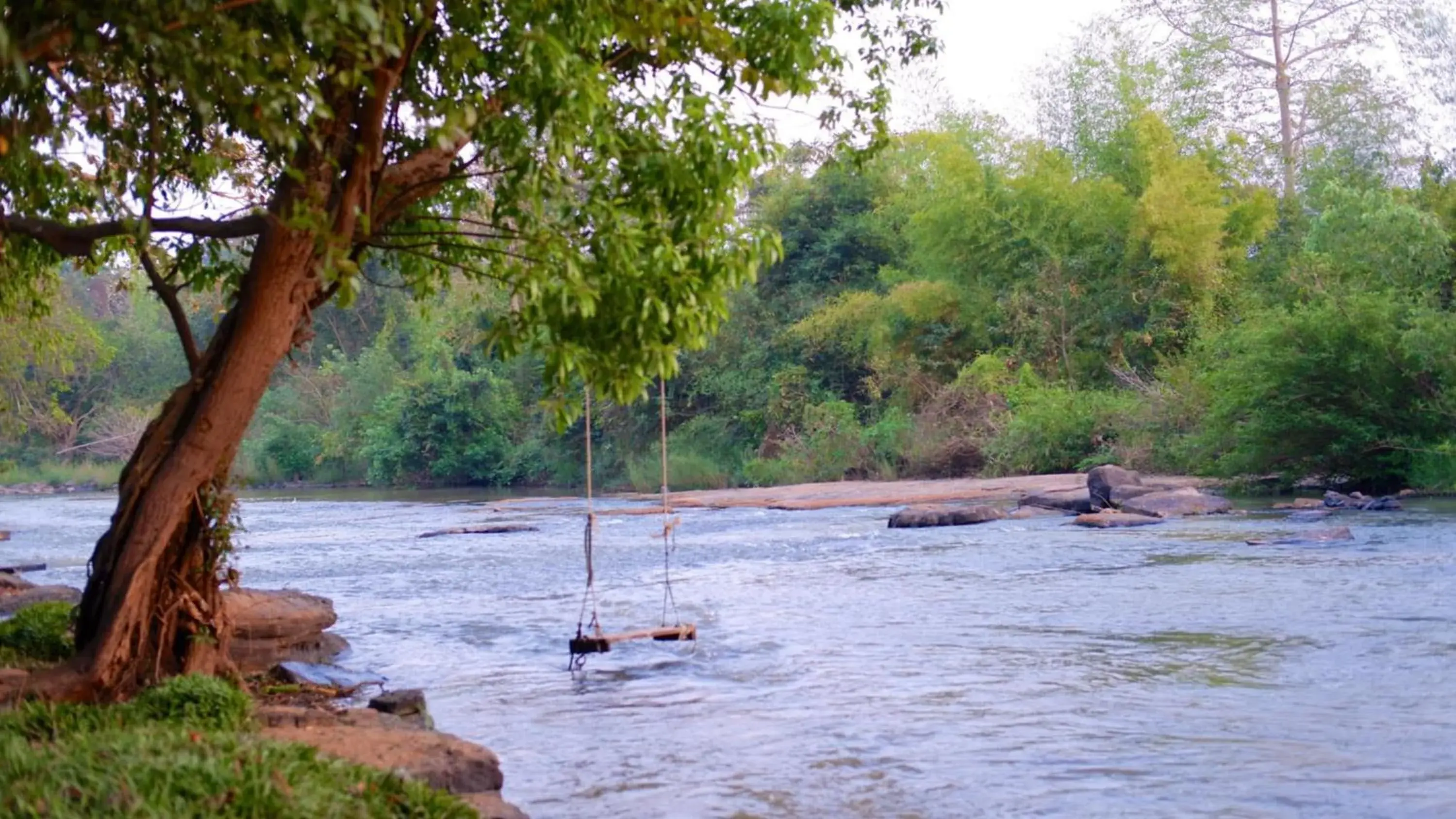 Naturalpark Resort De Wangthong Naturalpark Resort De Wangthong