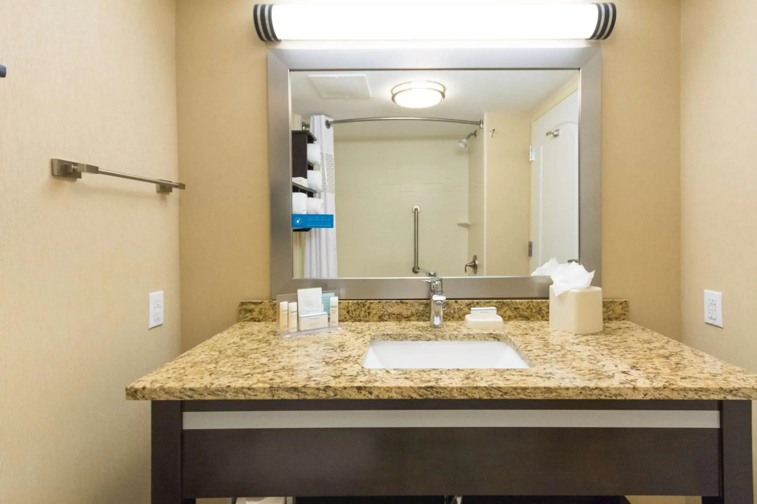 Bathroom in Hampton Inn Daytona Beach/Beachfront