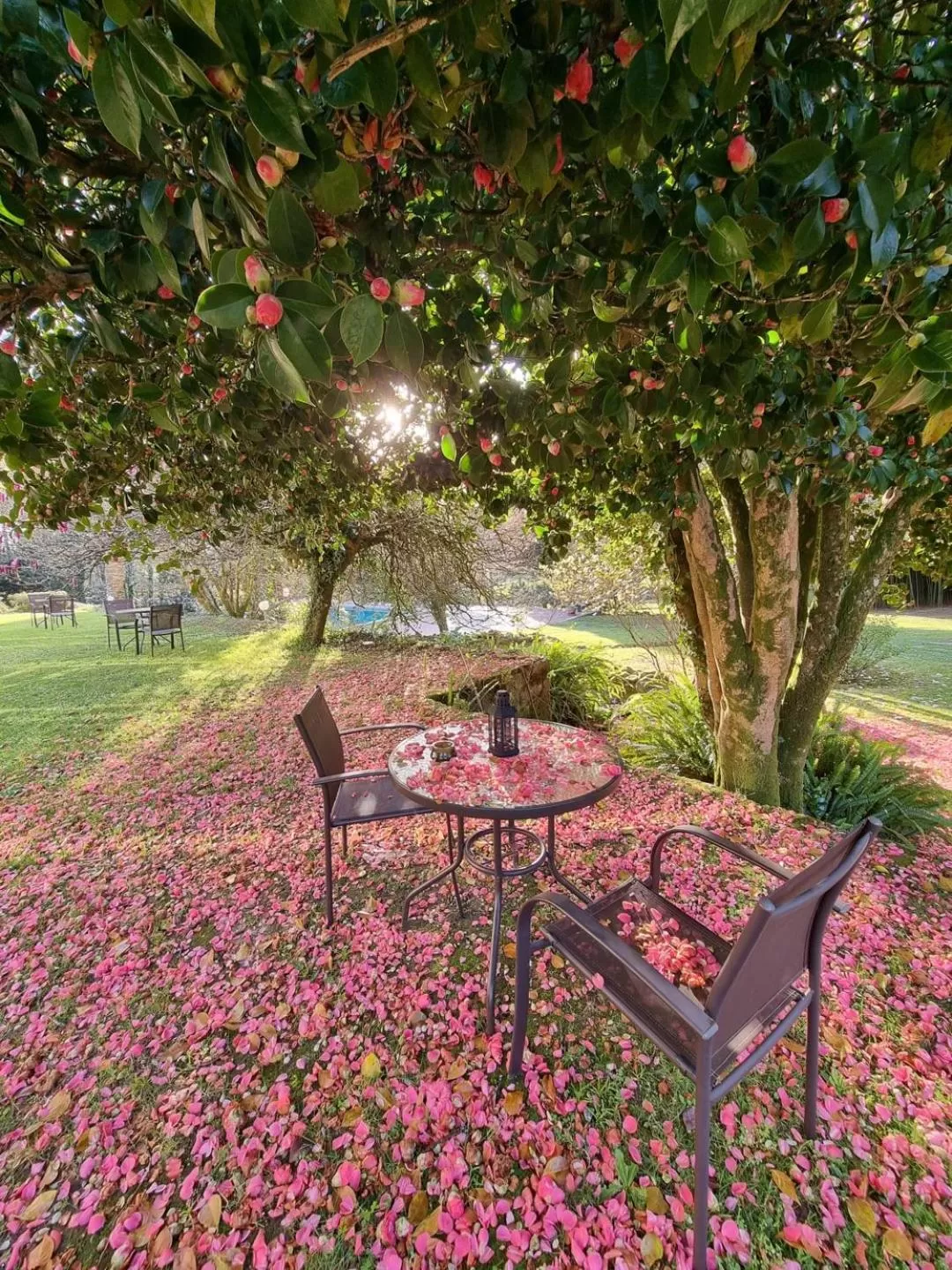 Garden in Casa a Pedreira Rias Baixas