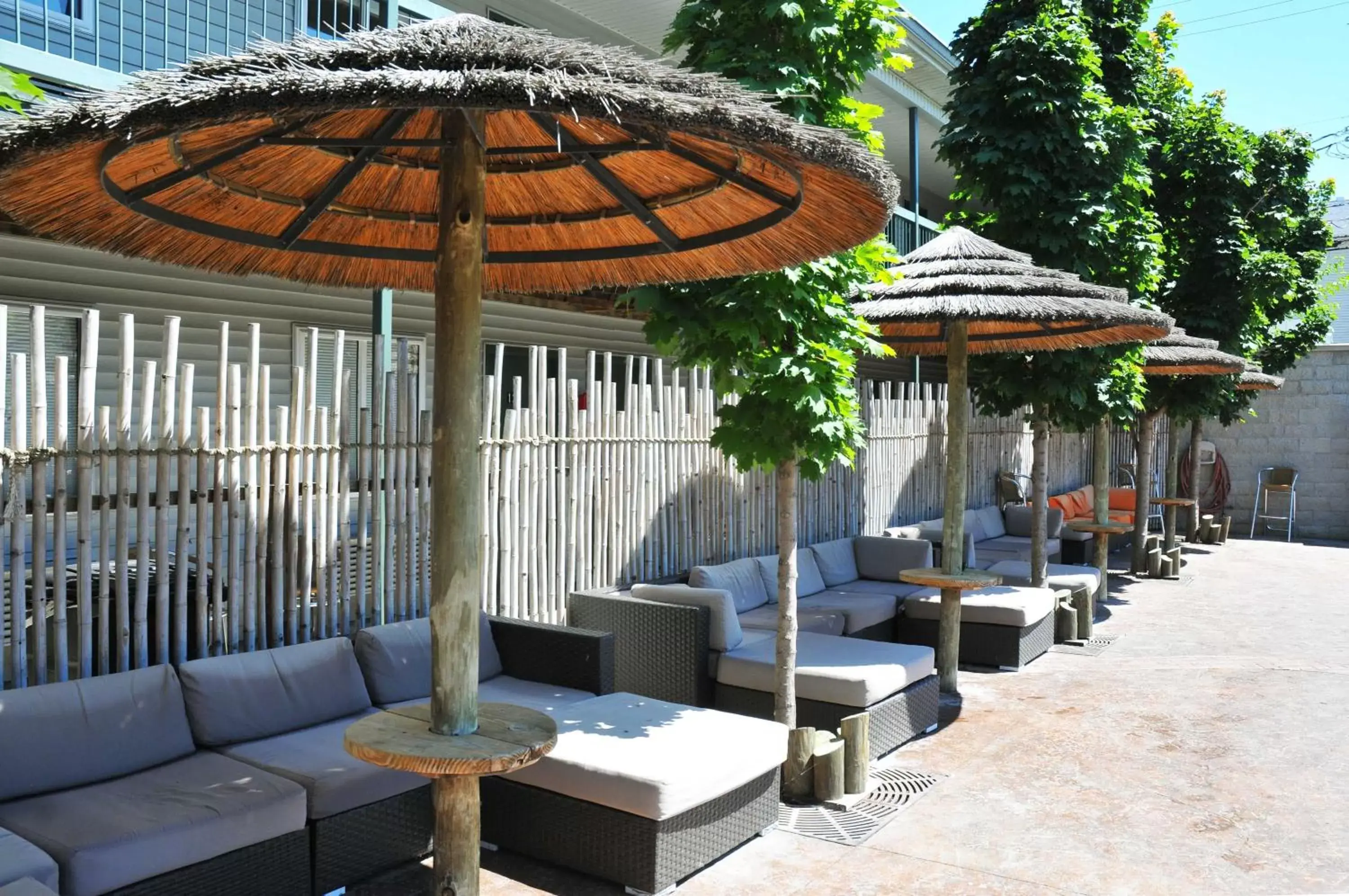 Patio, Lounge/Bar in Commodore Resort