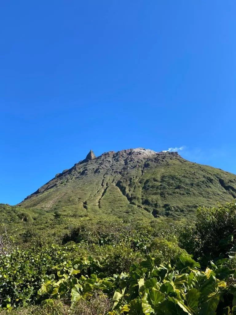 Habitation La Reine du Camp Chambres d'Hôtes