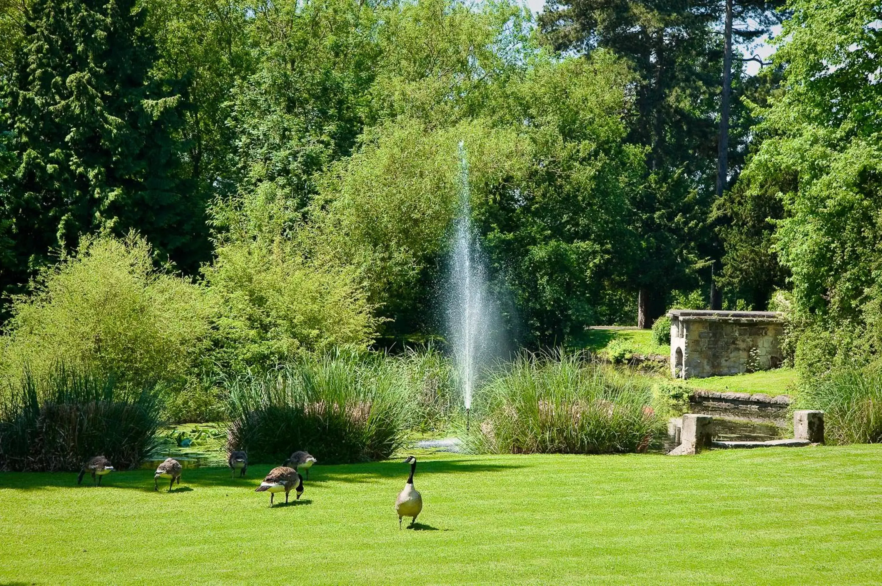 Garden in Mercure Shrewsbury Albrighton Hall Hotel & Spa