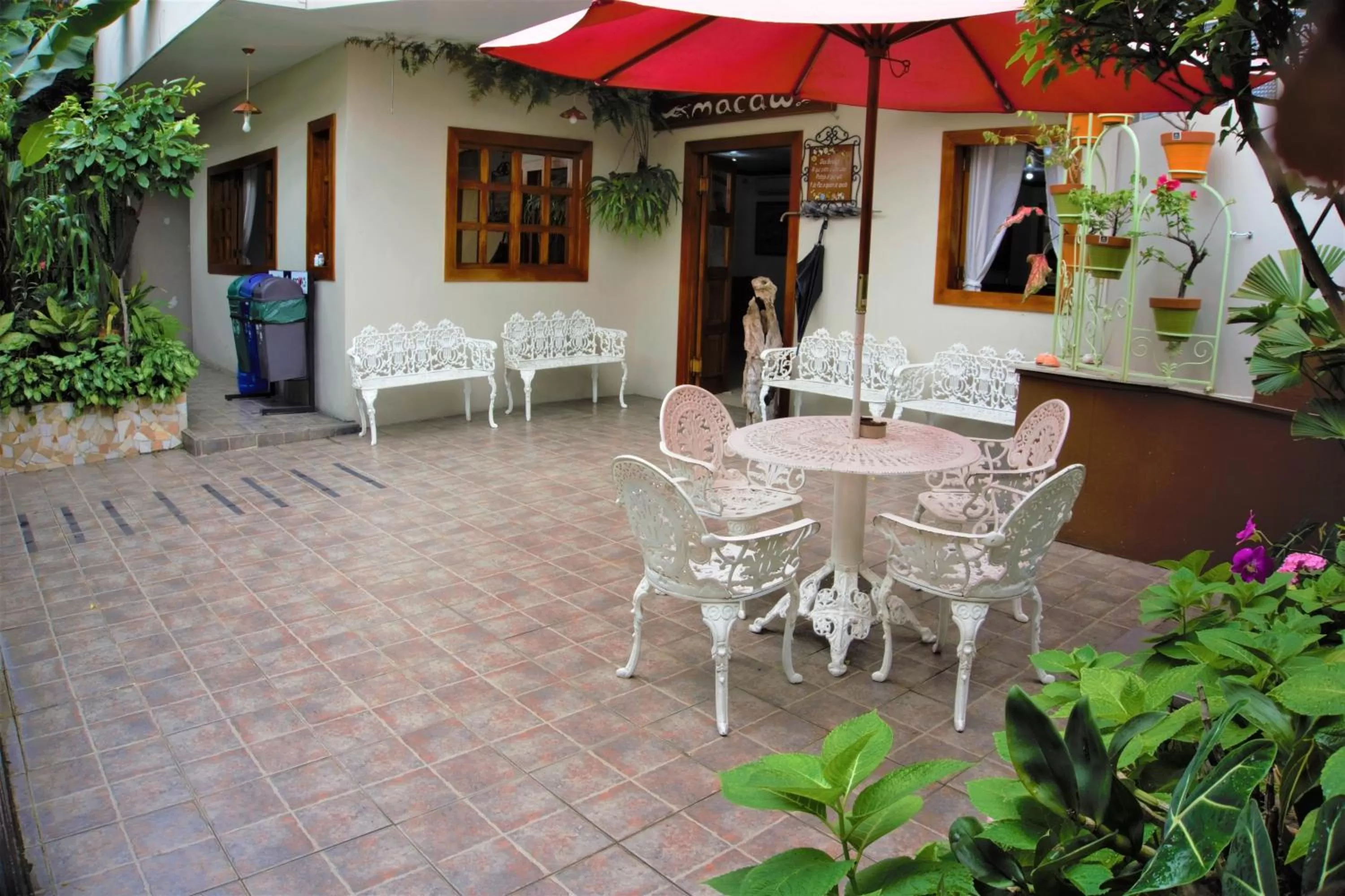 Patio in Hostal Macaw
